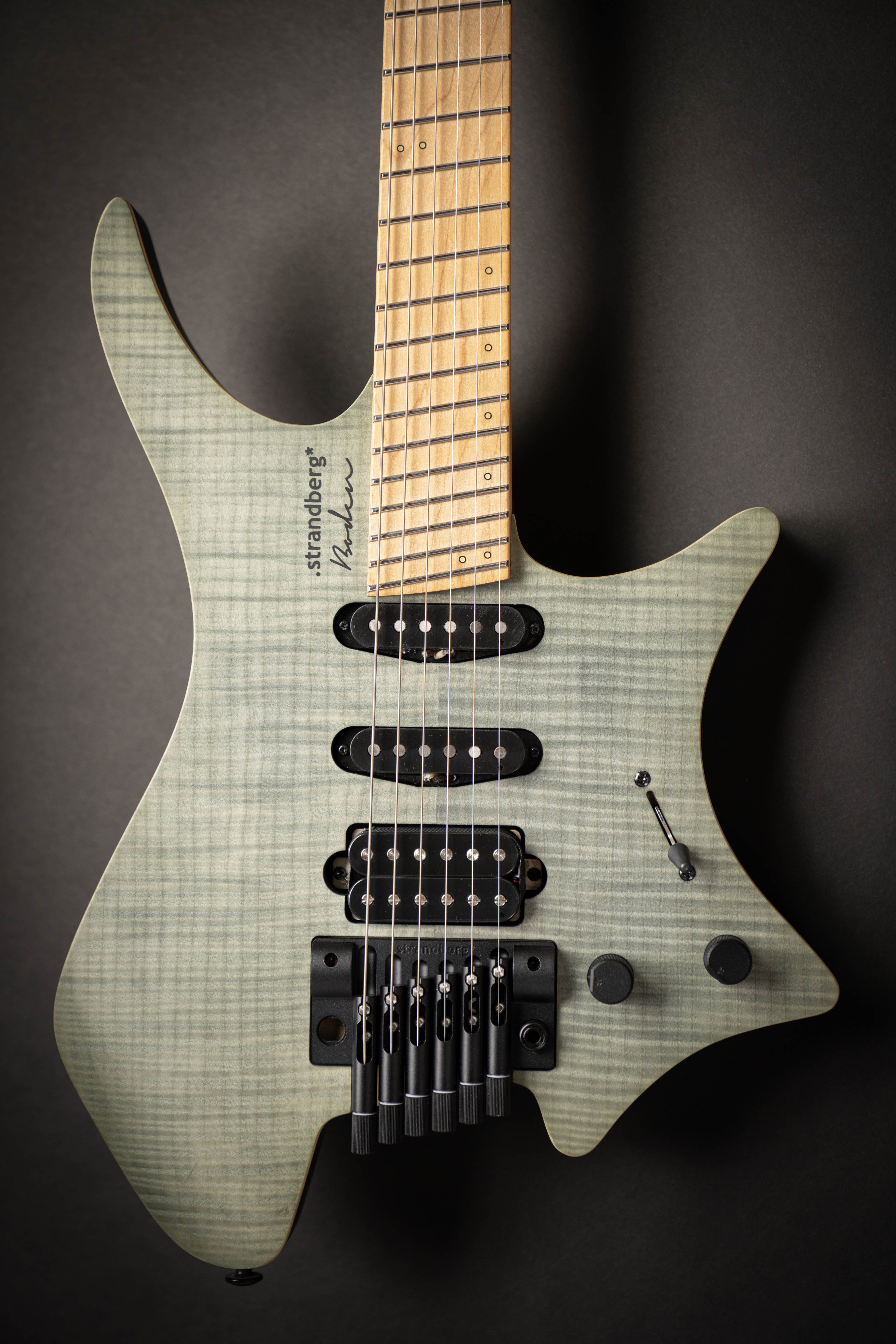 Strandberg Boden Standard NX 6 Tremolo Charcoal (C2210685