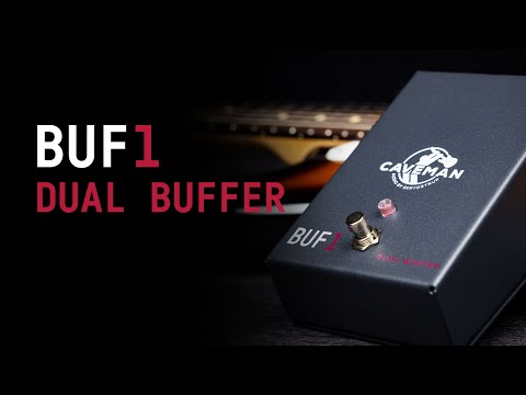 BUF1 Dual Buffer