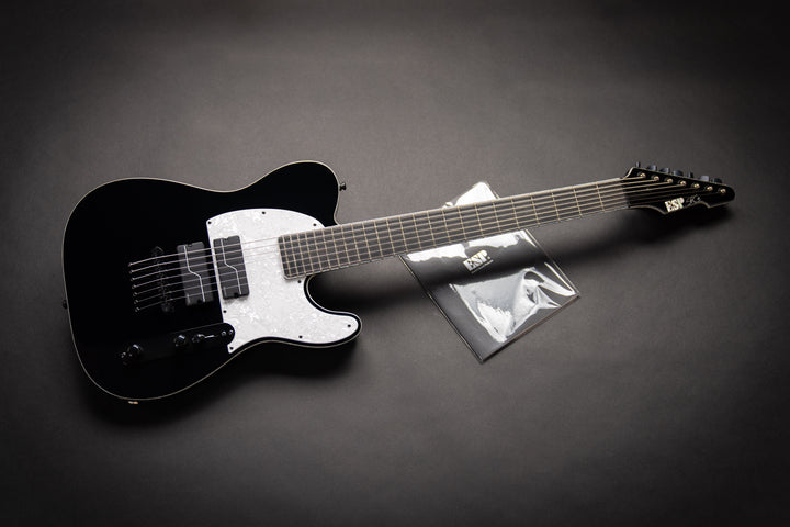 Custom Shop STEF-T7B (E9750222)