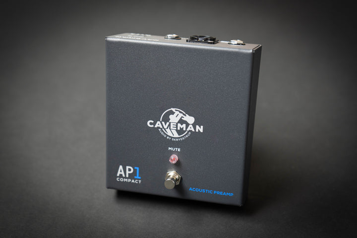 AP1 Compact Acoustic Preamp