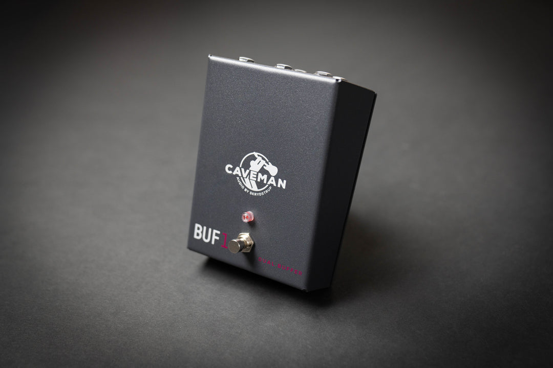 BUF1 Dual Buffer