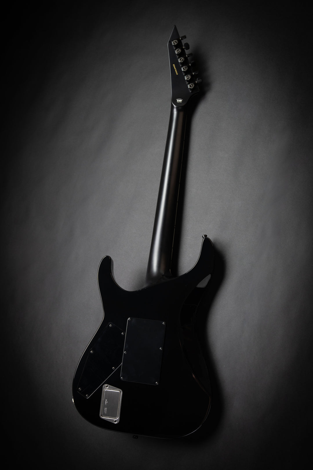 Horizon FR-II Tiger Eye Sunburst (ES4476243)