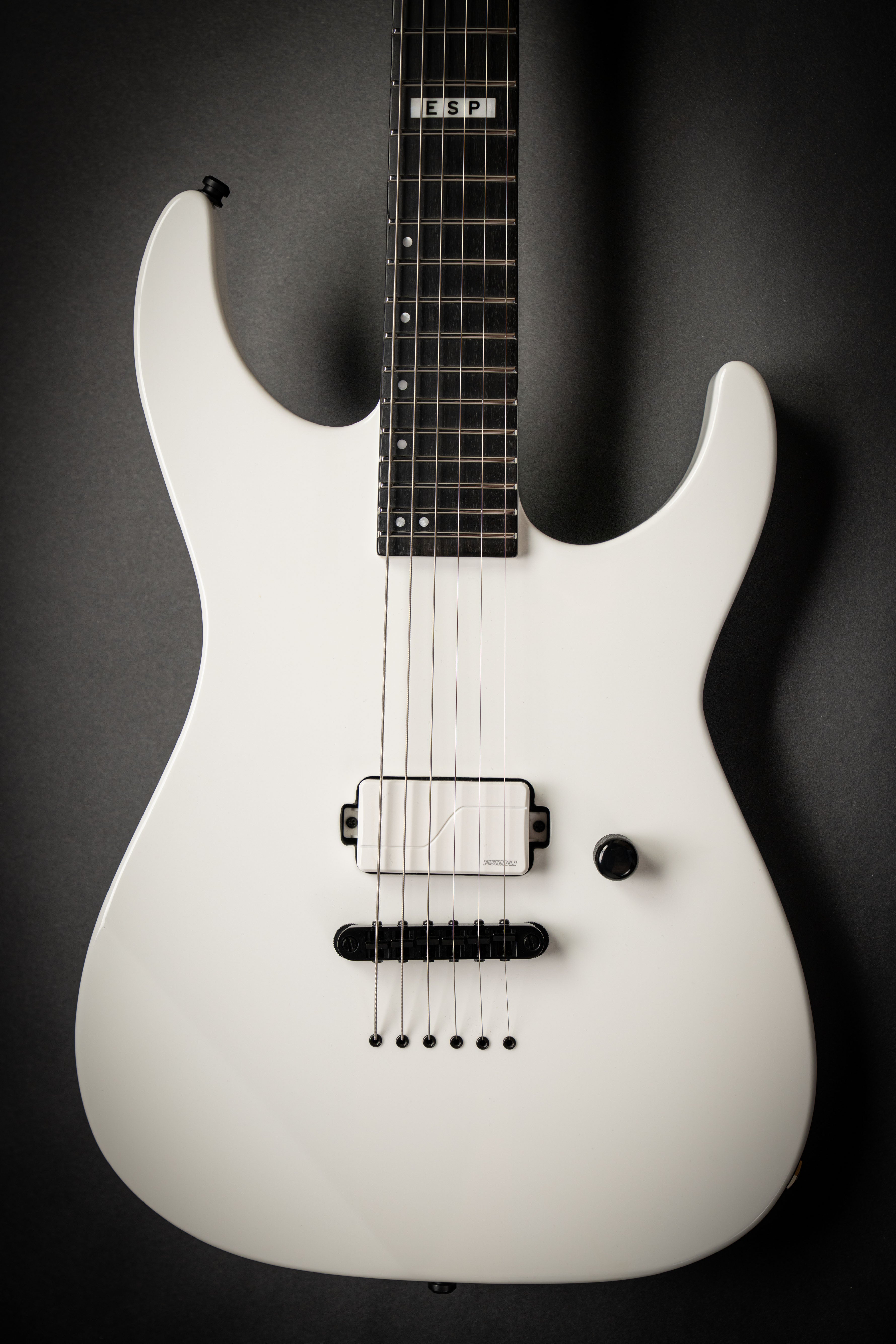 E-II by ESP – Guitars Rebellion