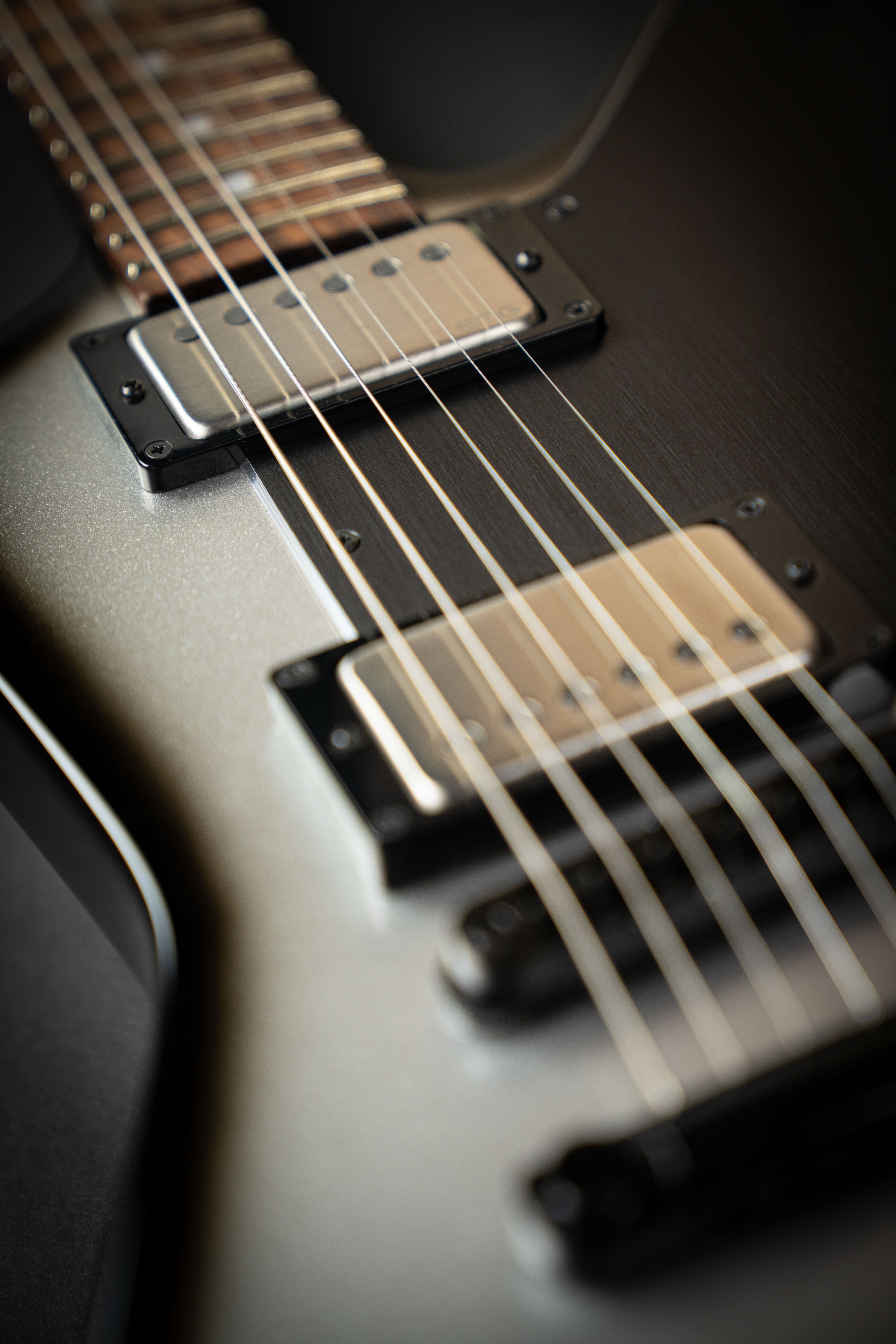 ESP Custom Shop Navigator N-EX-LTD Silver Burst – Guitars Rebellion
