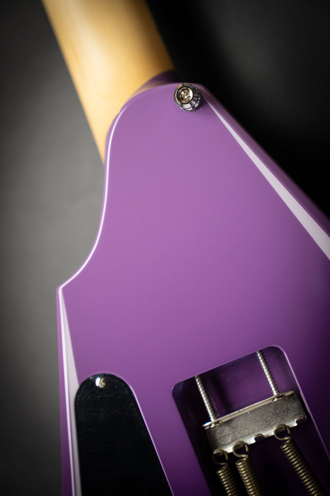Custom Shop Alexi Hexed (E4350232)