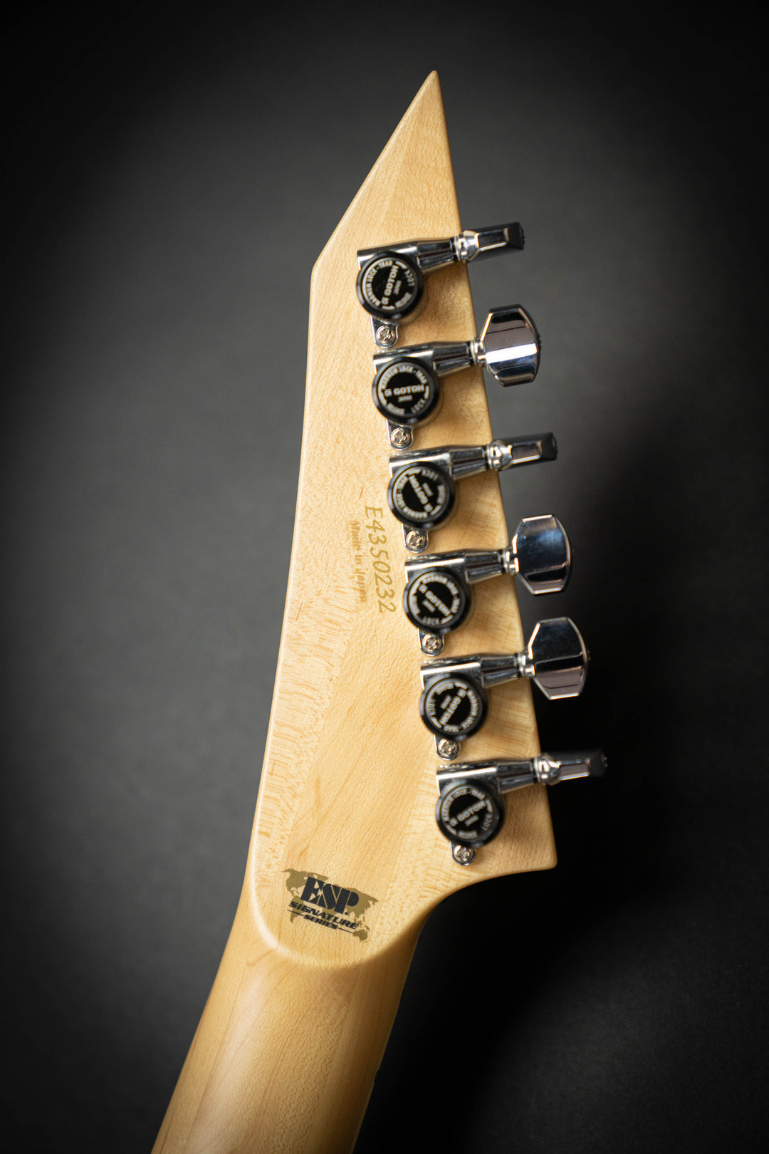 Custom Shop Alexi Hexed (E4350232)