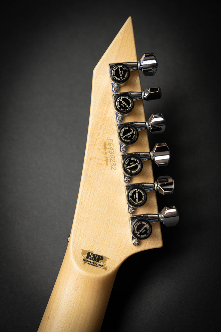 Custom Shop Alexi Hexed (E6430232)