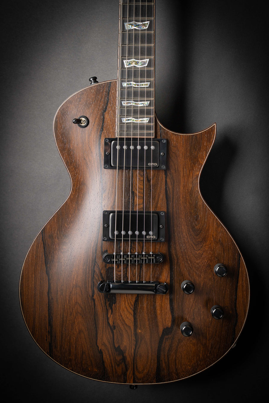 ESP Custom Shop – Guitars Rebellion