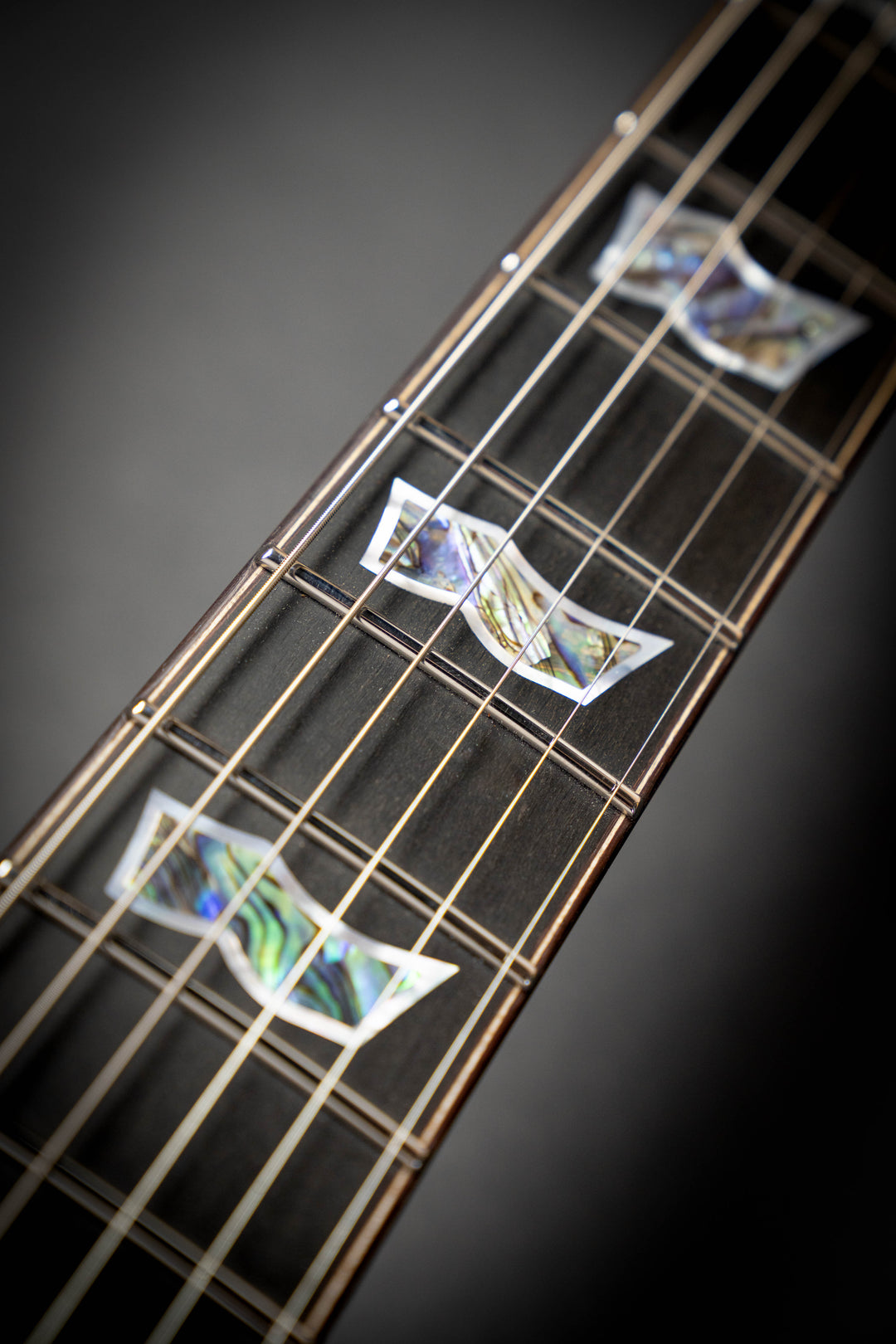 Custom Shop EC-CTM Ziricote (E6400251)