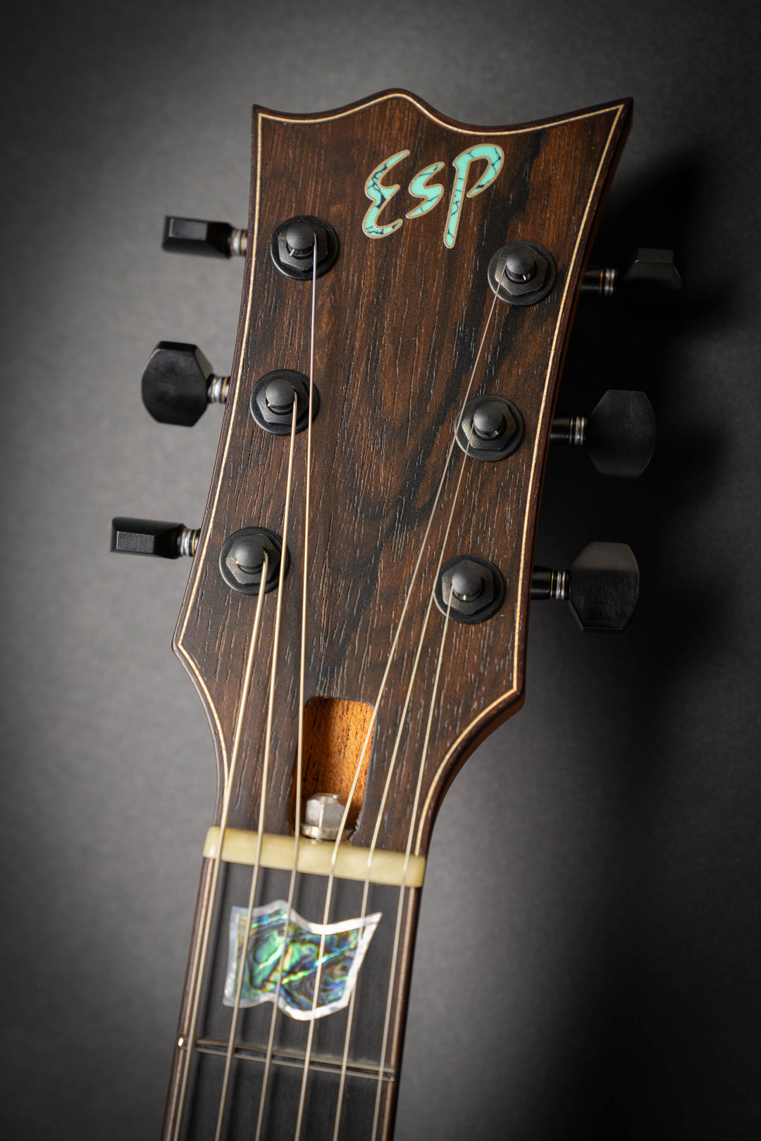 Custom Shop EC-CTM Ziricote (E6400251)