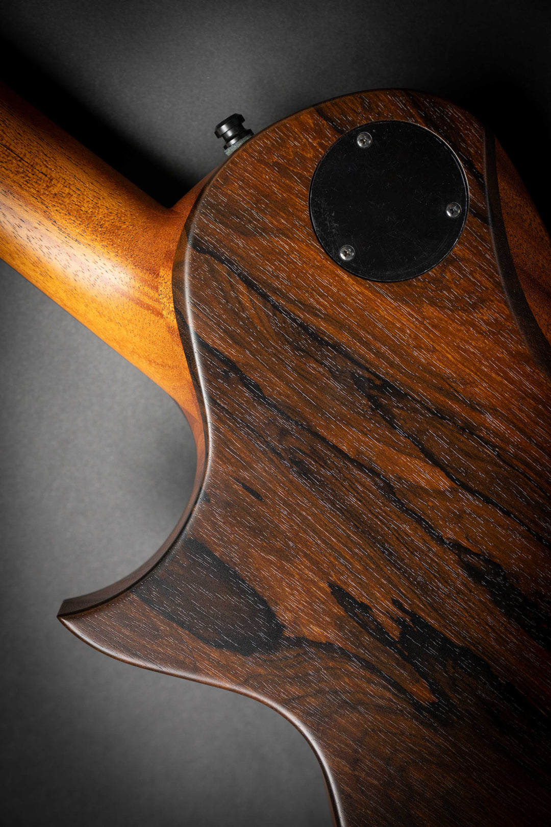 Custom Shop EC-CTM Ziricote (E6400251)