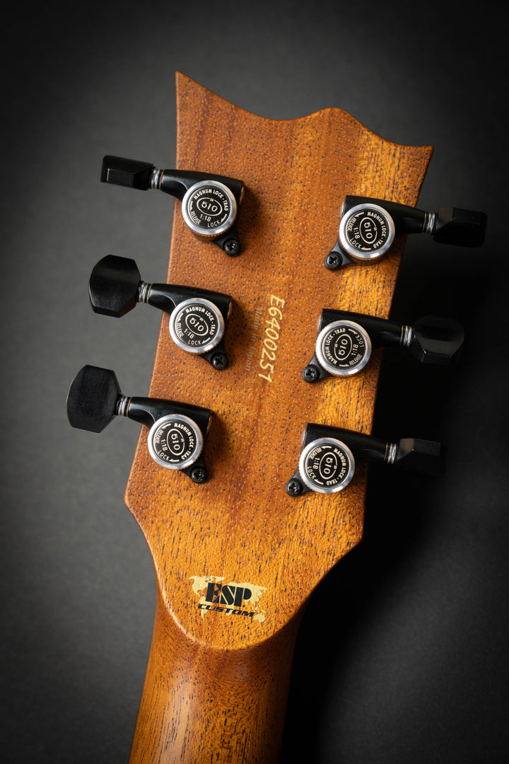 Custom Shop EC-CTM Ziricote (E6400251)