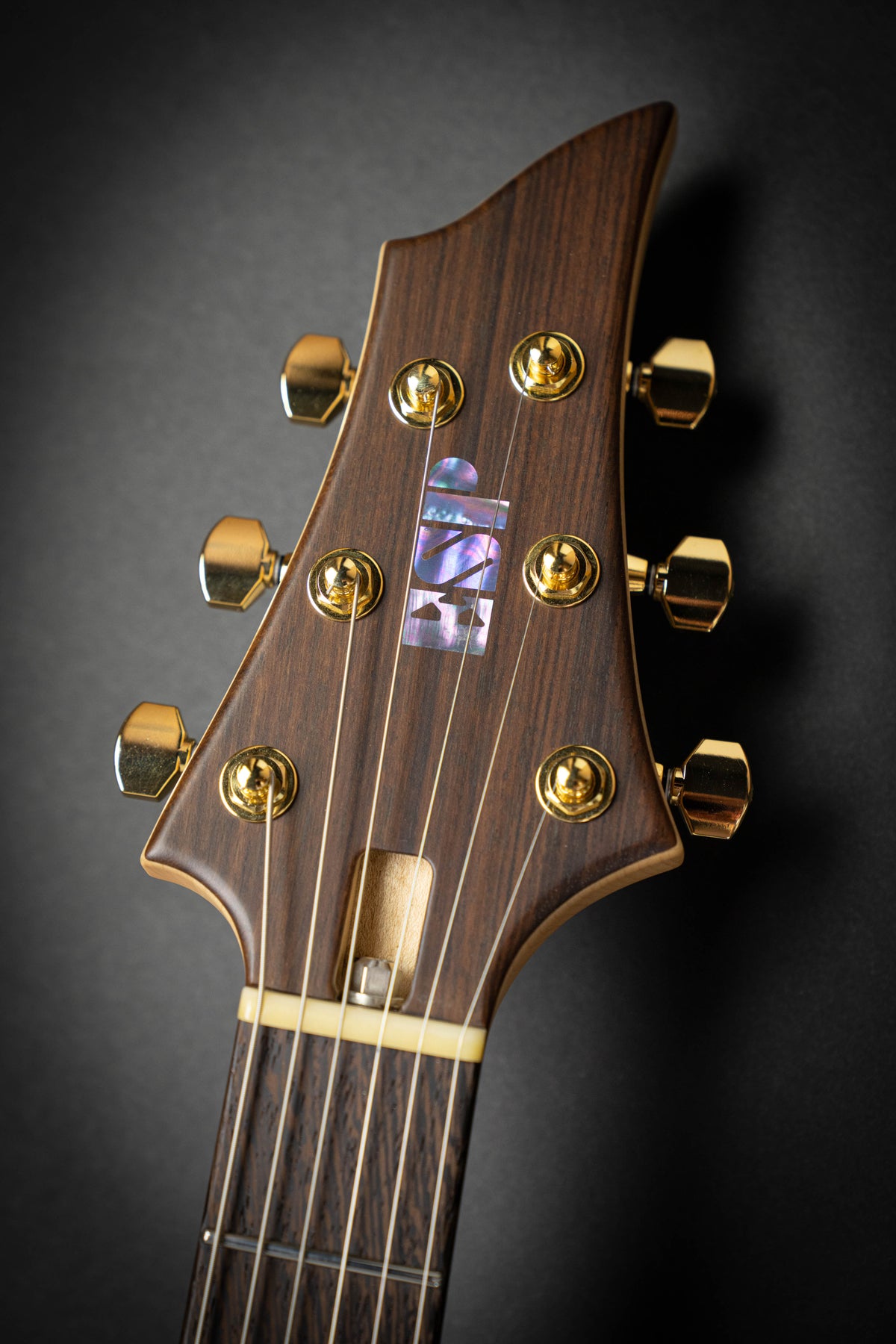 Pod Esp ESP Custom Shop Forest-G Monkeypod (E6520241) – Guitars Rebellion