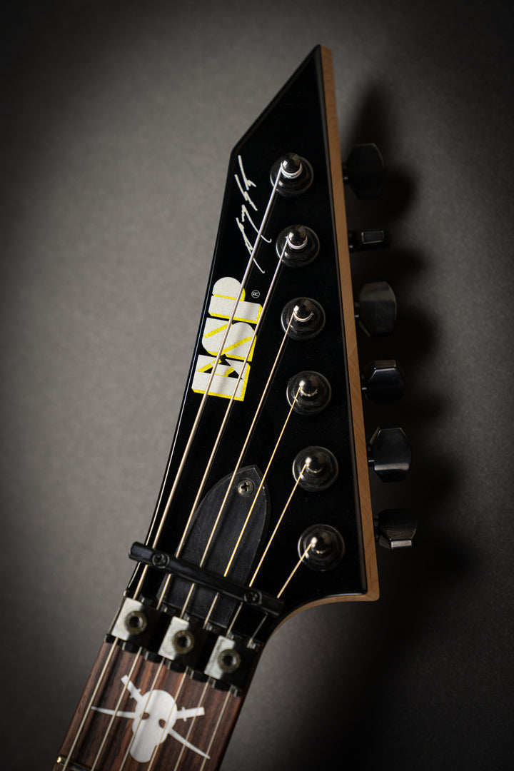 Custom Shop George Lynch Skulls & Snakes (E6640232)