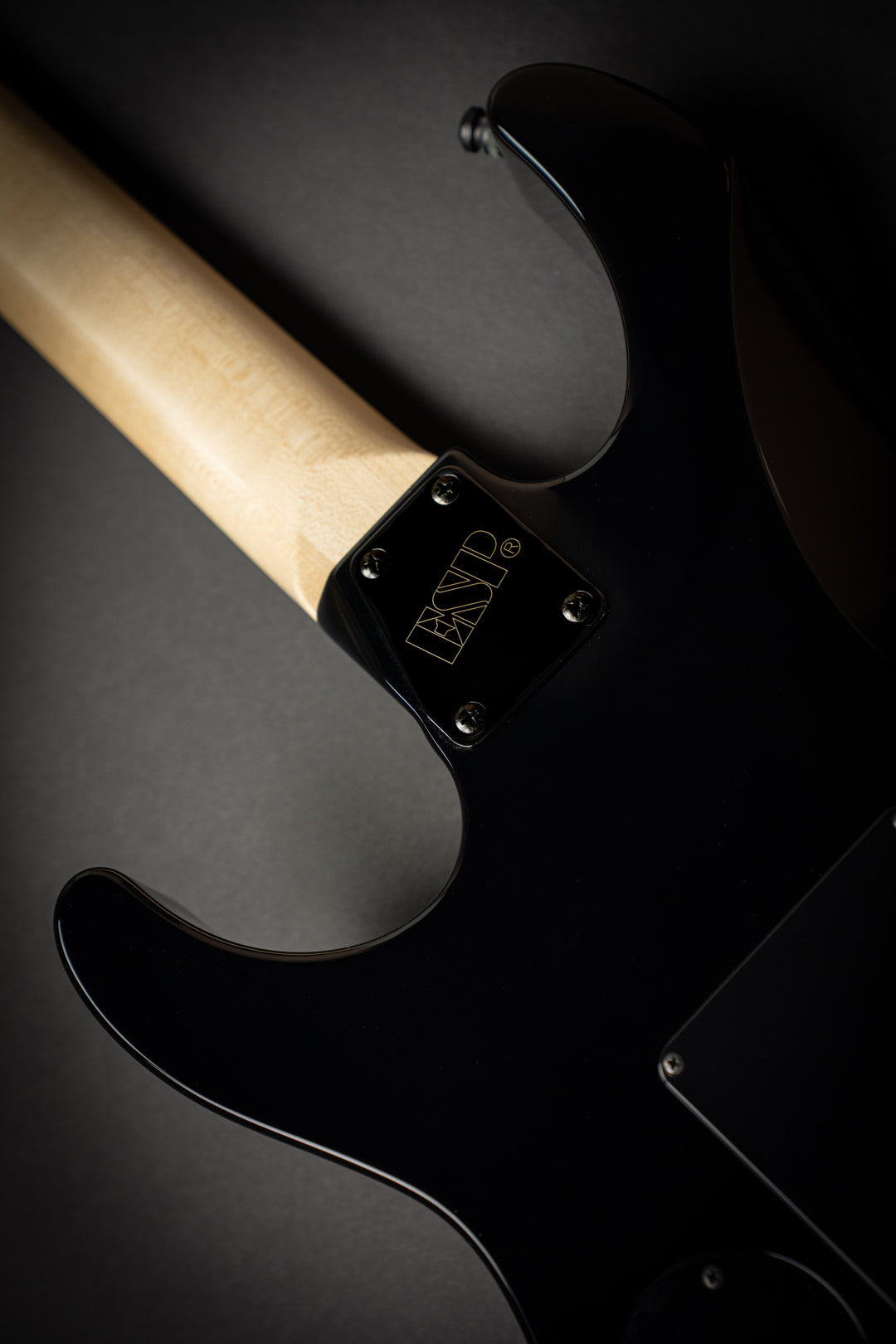 Custom Shop George Lynch Skulls & Snakes (E6640232)