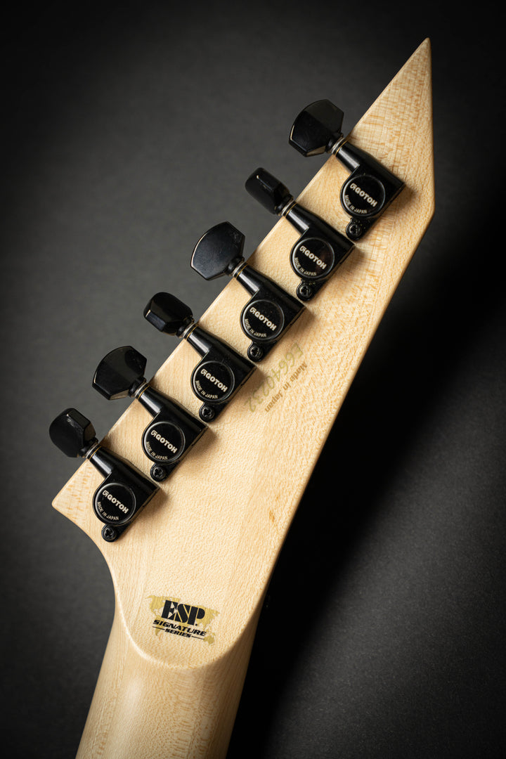 Custom Shop George Lynch Skulls & Snakes (E6640232)