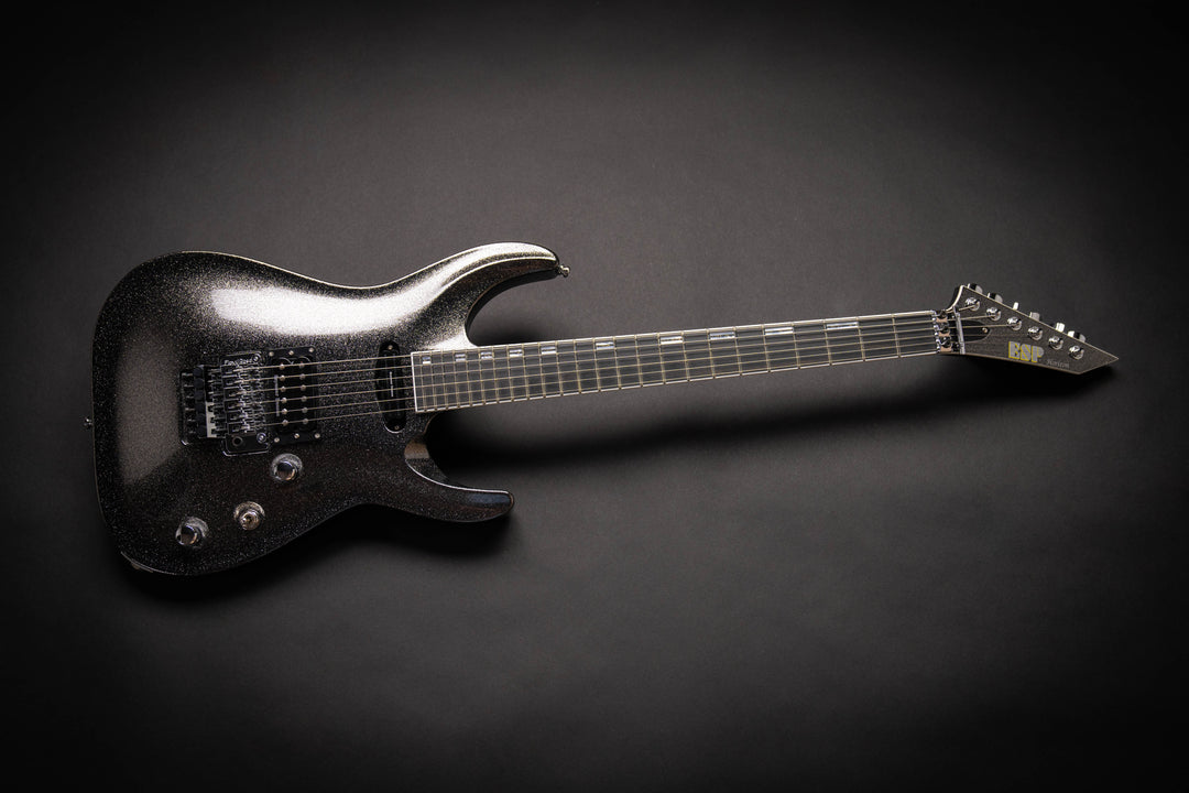 Custom Shop Horizon-I Titan Metal (E7940232)