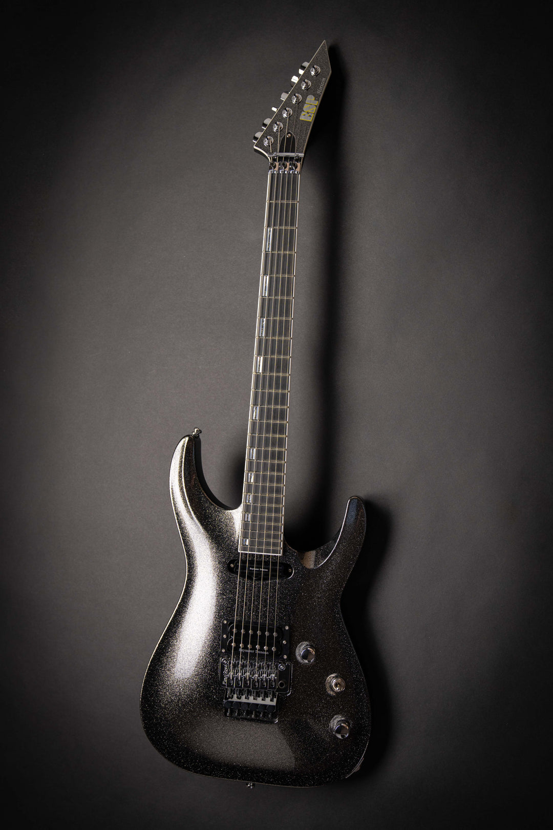 Custom Shop Horizon-I Titan Metal (E7940232)