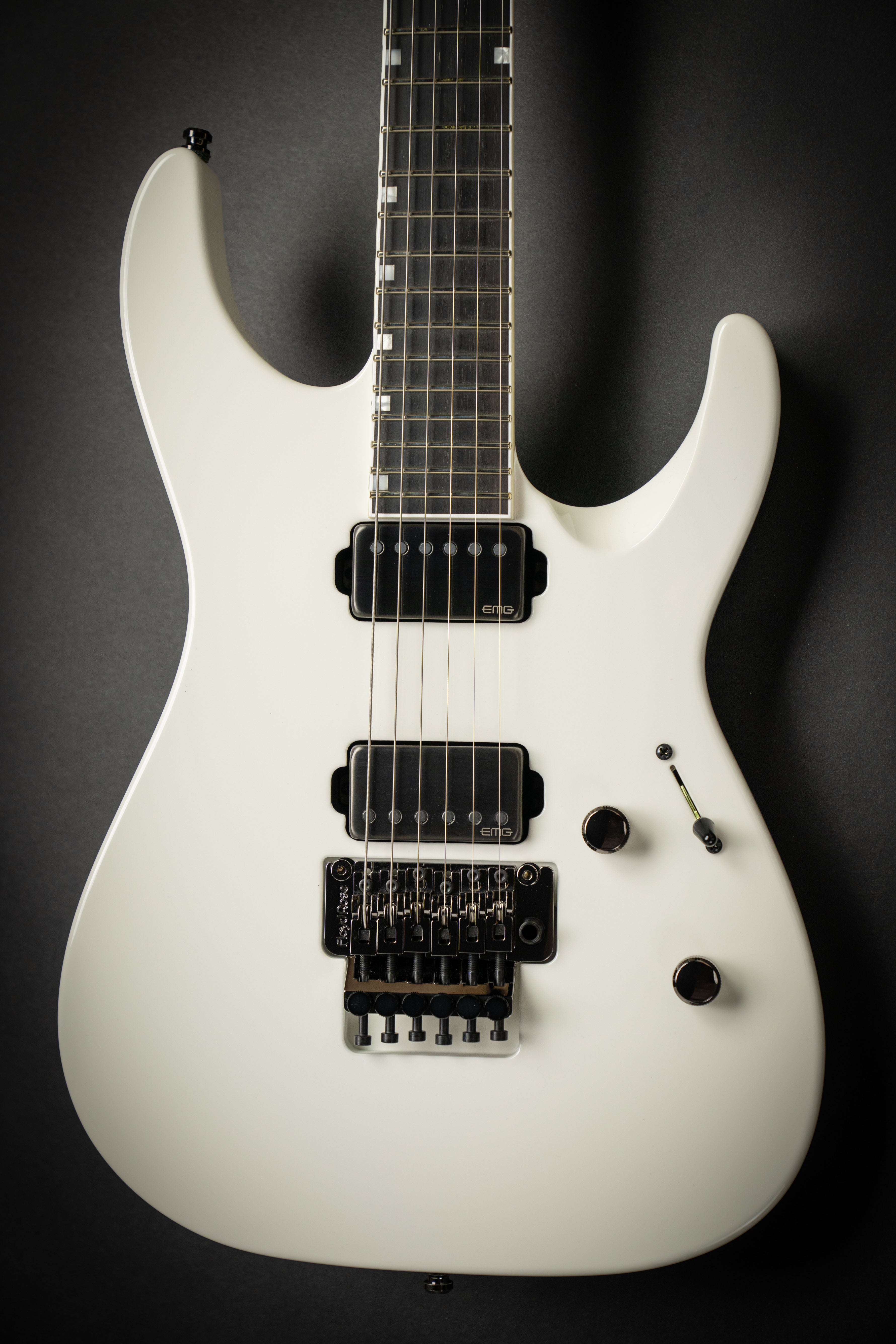 ESP Custom Shop & Signature - SOLD GALLERY – Page 2