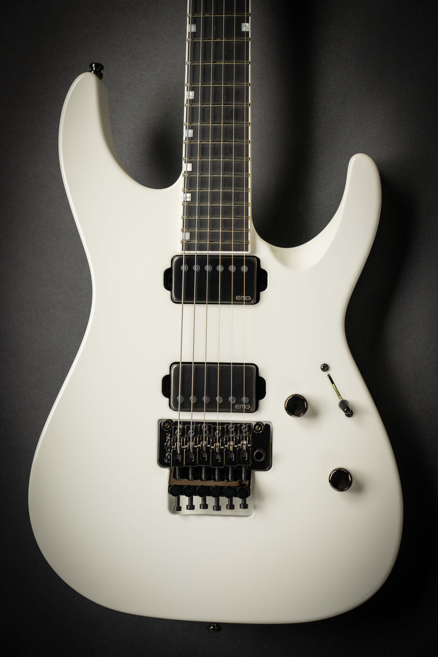 ESP Custom Shop – Guitars Rebellion