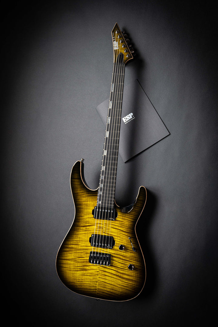 Custom Shop M-II CTM NT-FM Ivy Green Sunburst (E5530262)