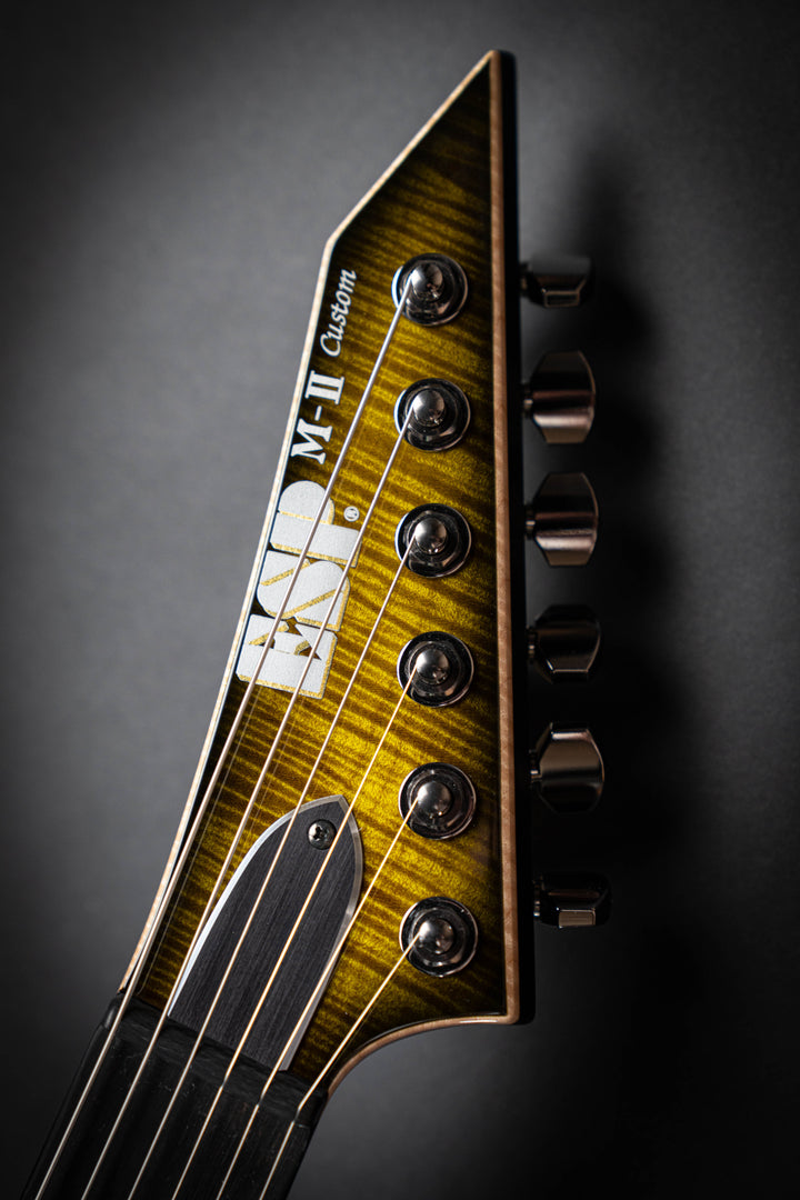 Custom Shop M-II CTM NT-FM Ivy Green Sunburst (E5530262)