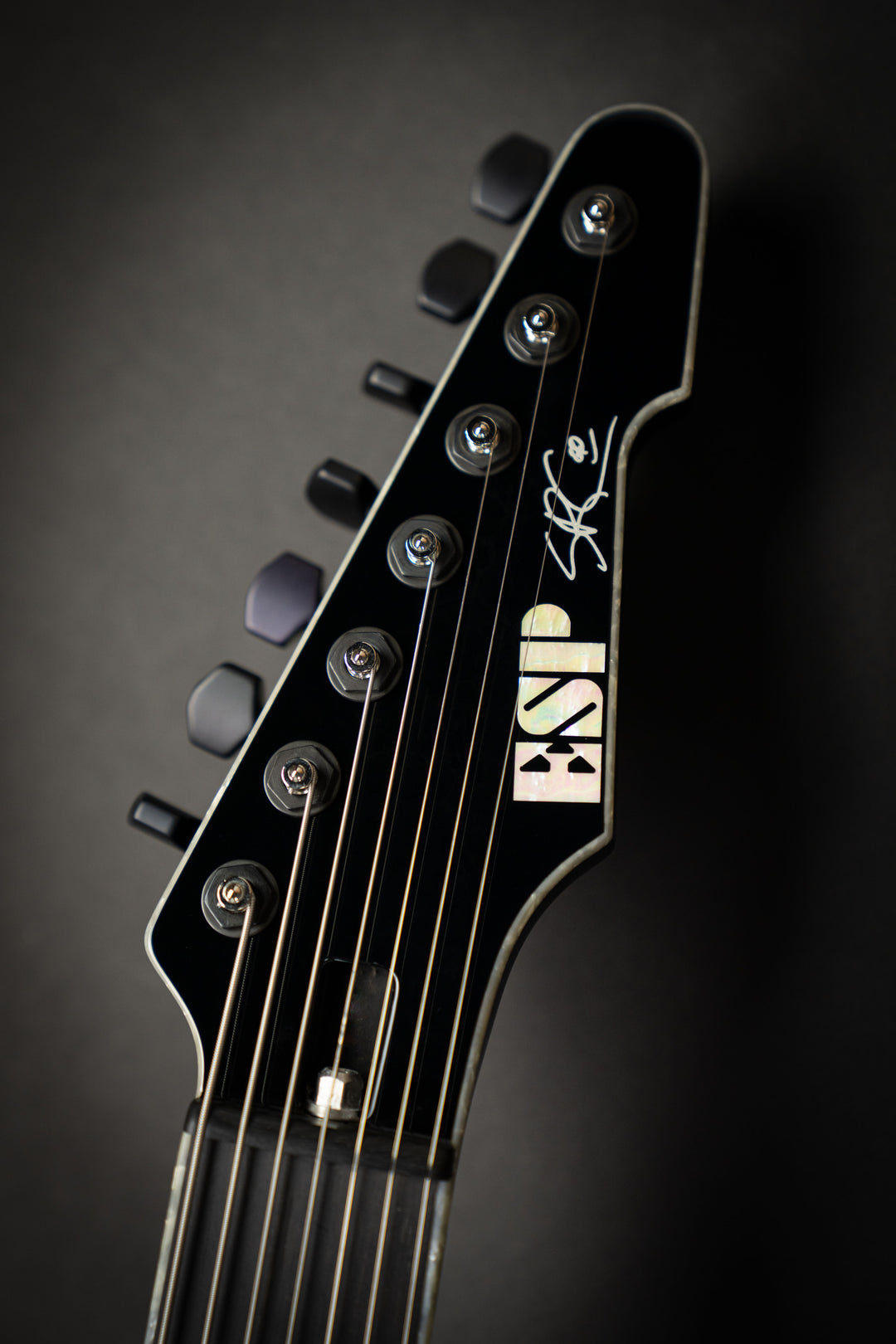 Custom Shop STEF-T7B (E8631222)