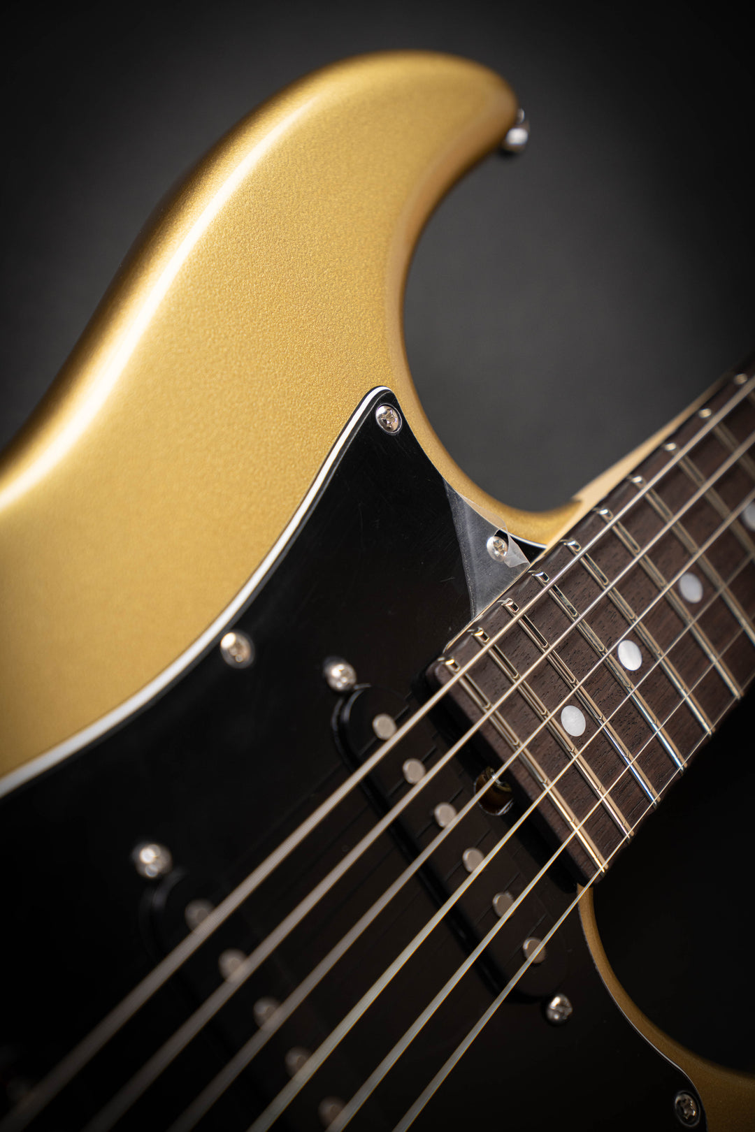 Studio Elite HD Shoreline Gold (J25172)