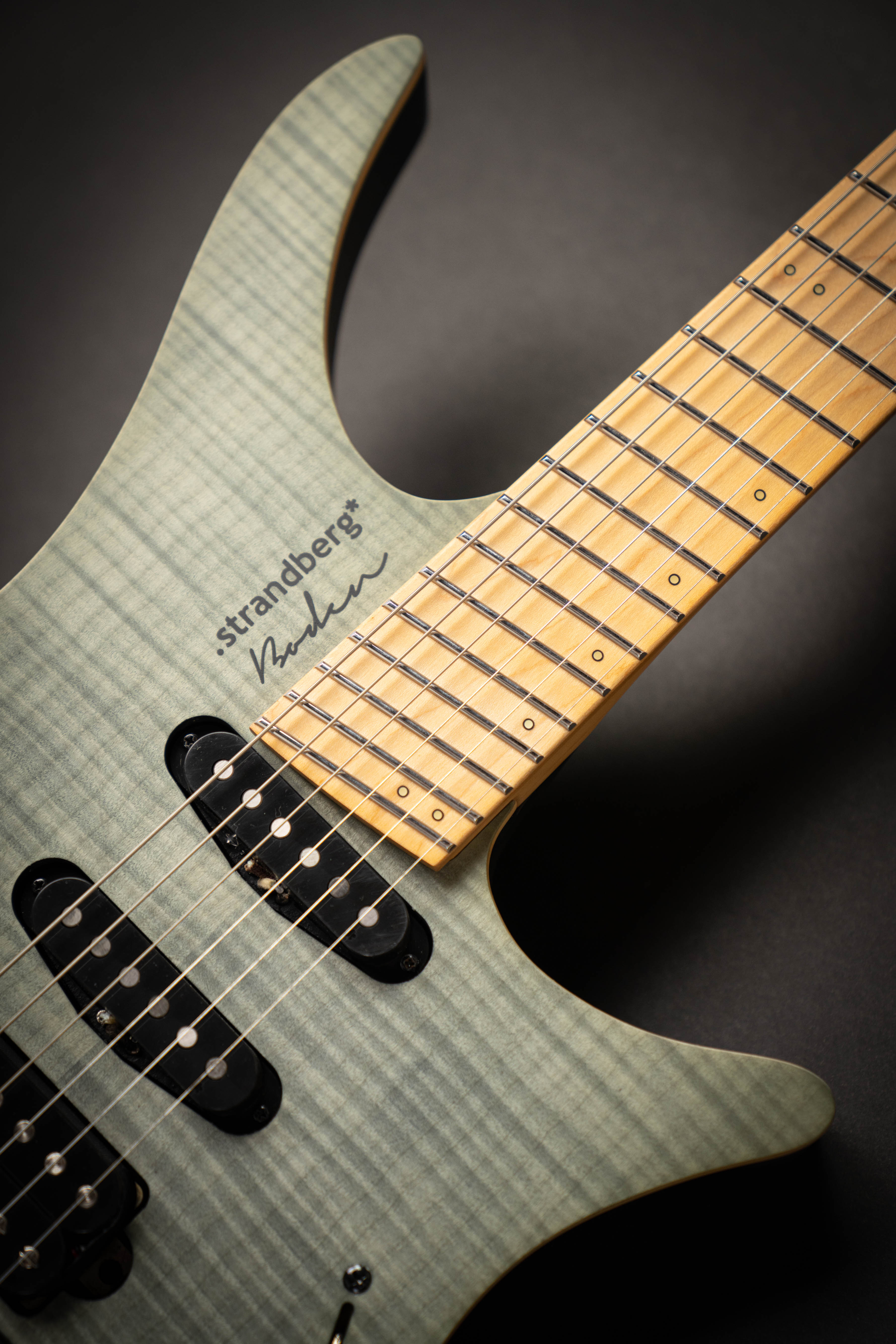 Strandberg Boden Standard NX 6 Tremolo Charcoal (C2210685