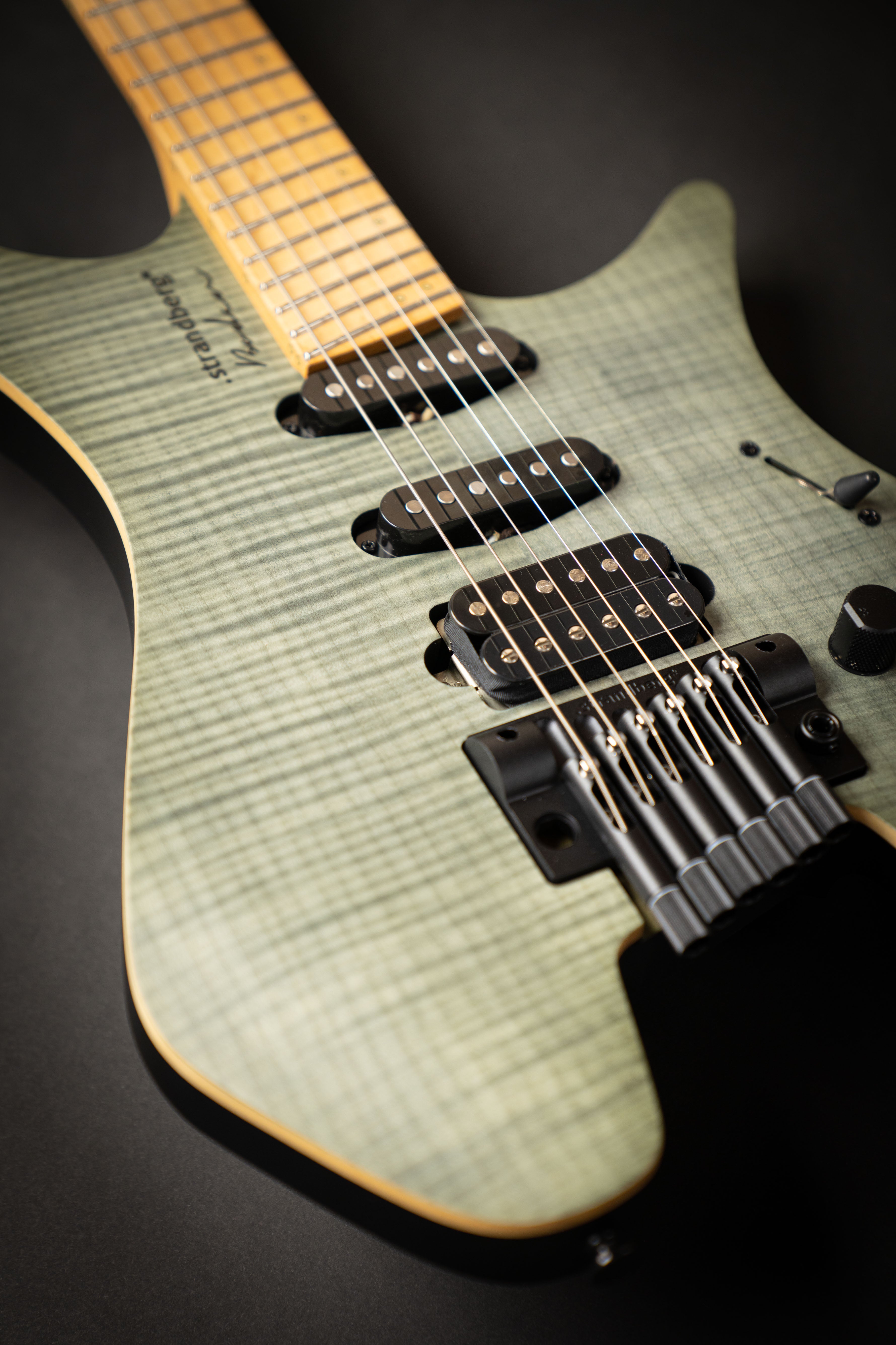 Strandberg Boden Standard NX 6 Tremolo Charcoal (C2210685