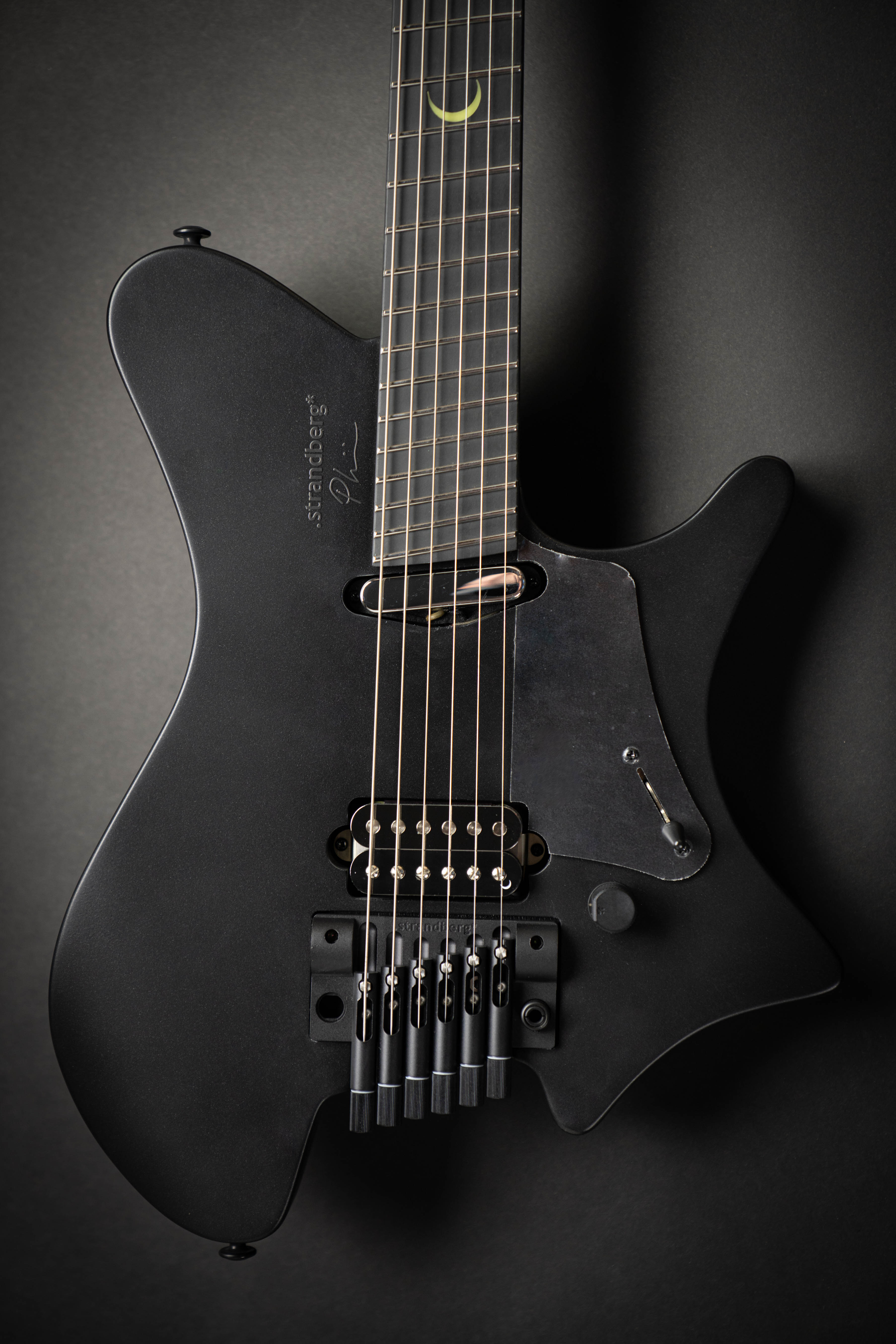 Strandberg Sälen NX 6 Tremolo Plini Edition Black (C2301398