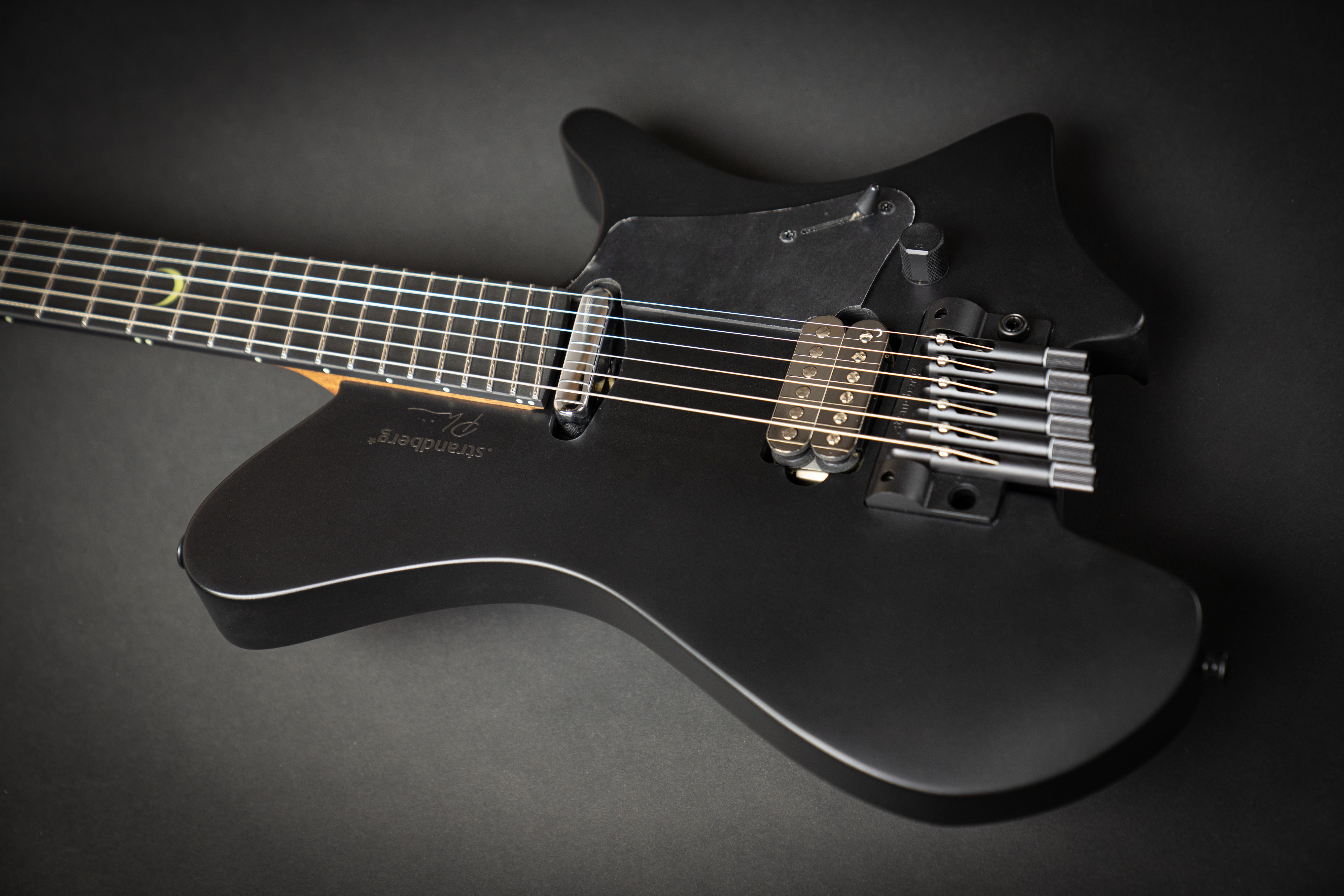 Strandberg Sälen NX 6 Tremolo Plini Edition Black (C2301398