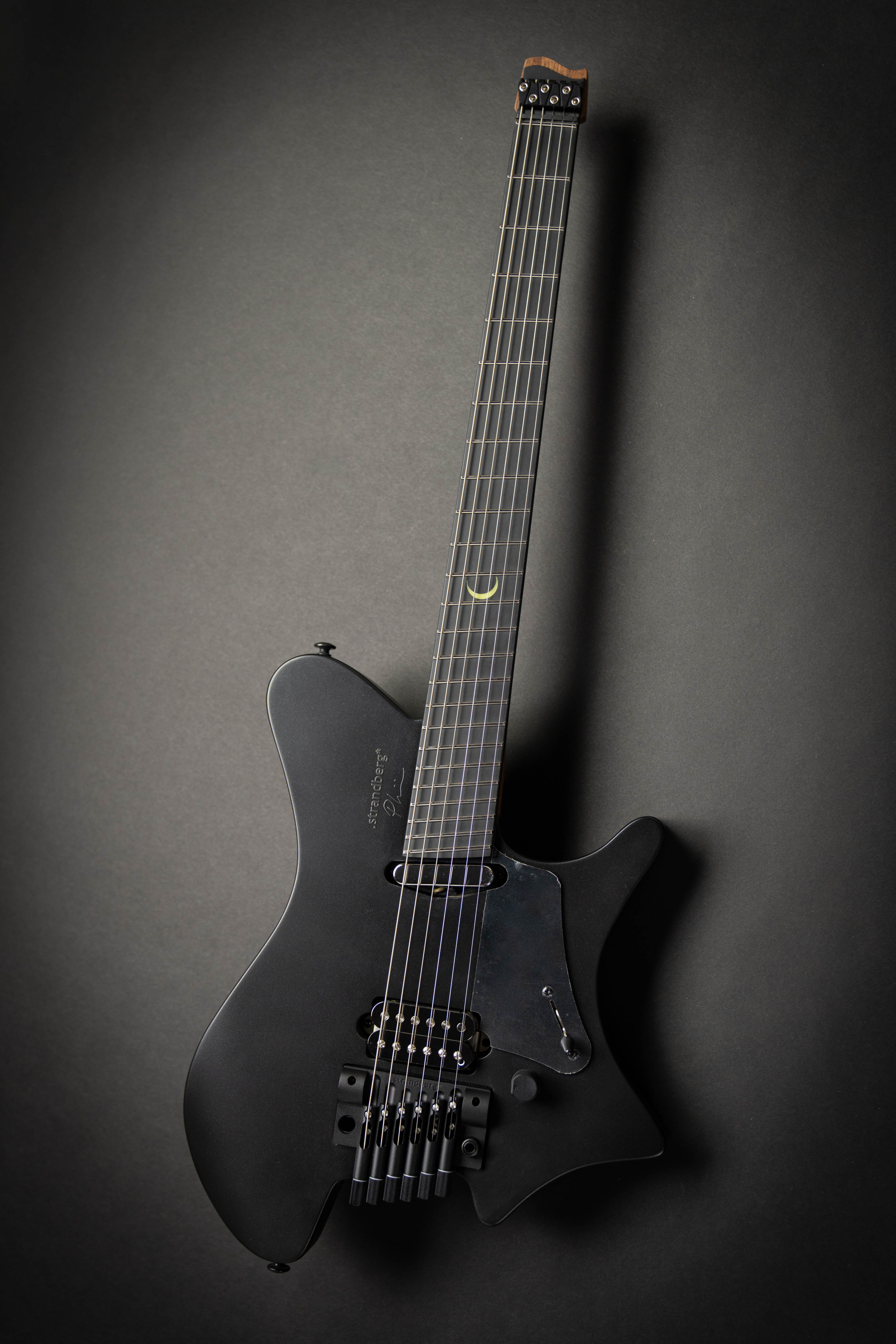 Strandberg Sälen NX 6 Tremolo Plini Edition Black (C2301398