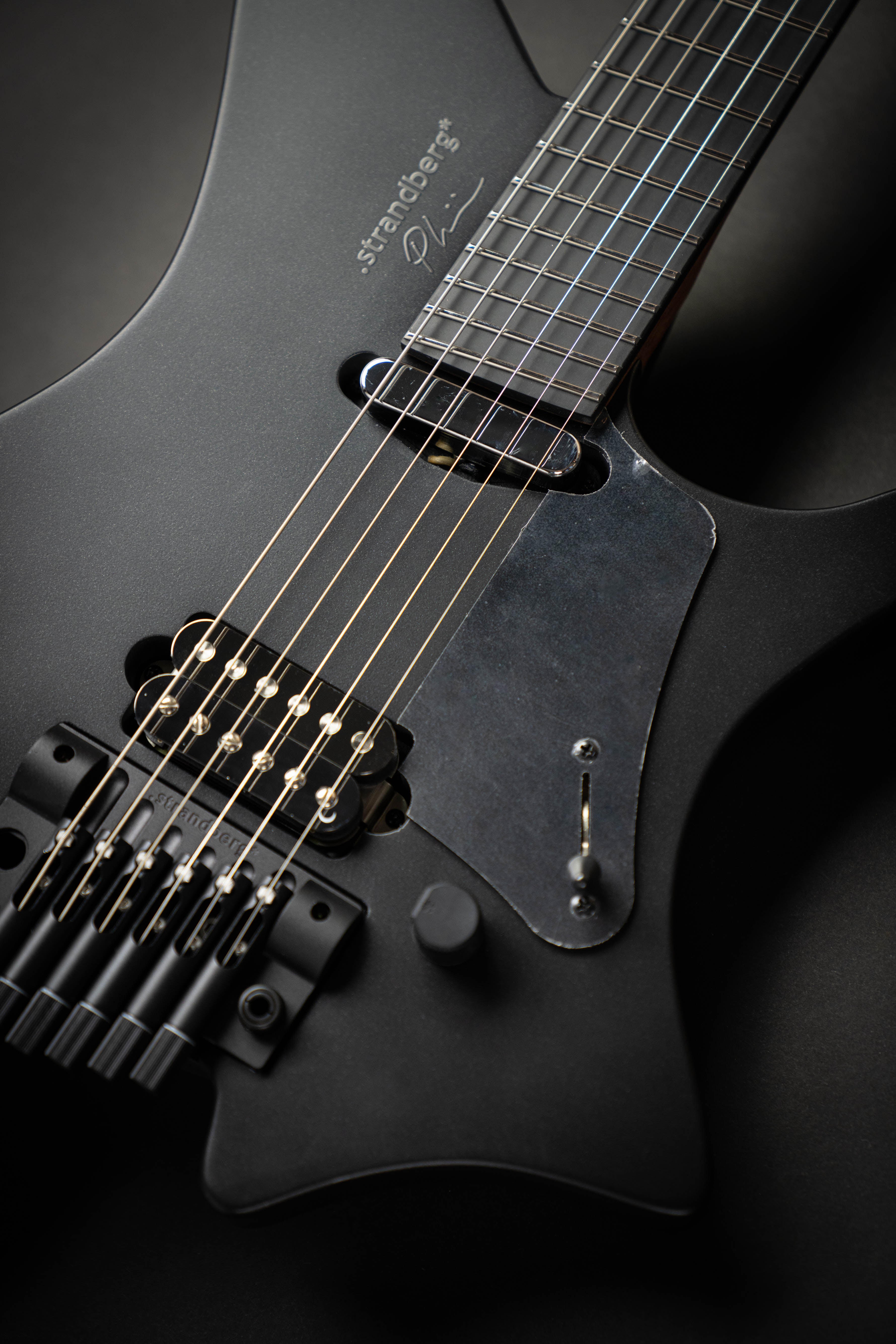 Strandberg Sälen NX 6 Tremolo Plini Edition Black (C2301398
