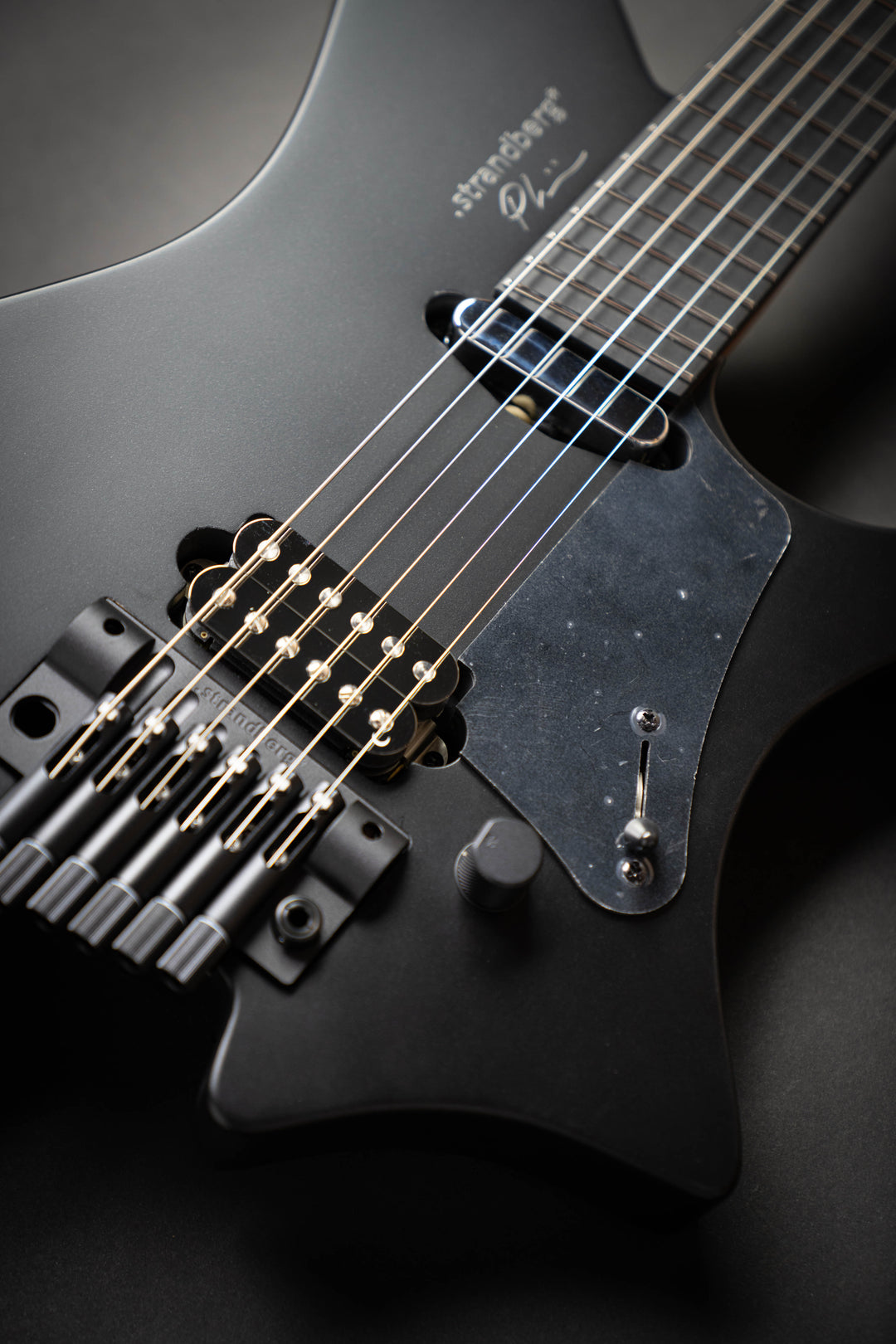 Sälen NX 6 Tremolo Plini Edition Black (C2301403)