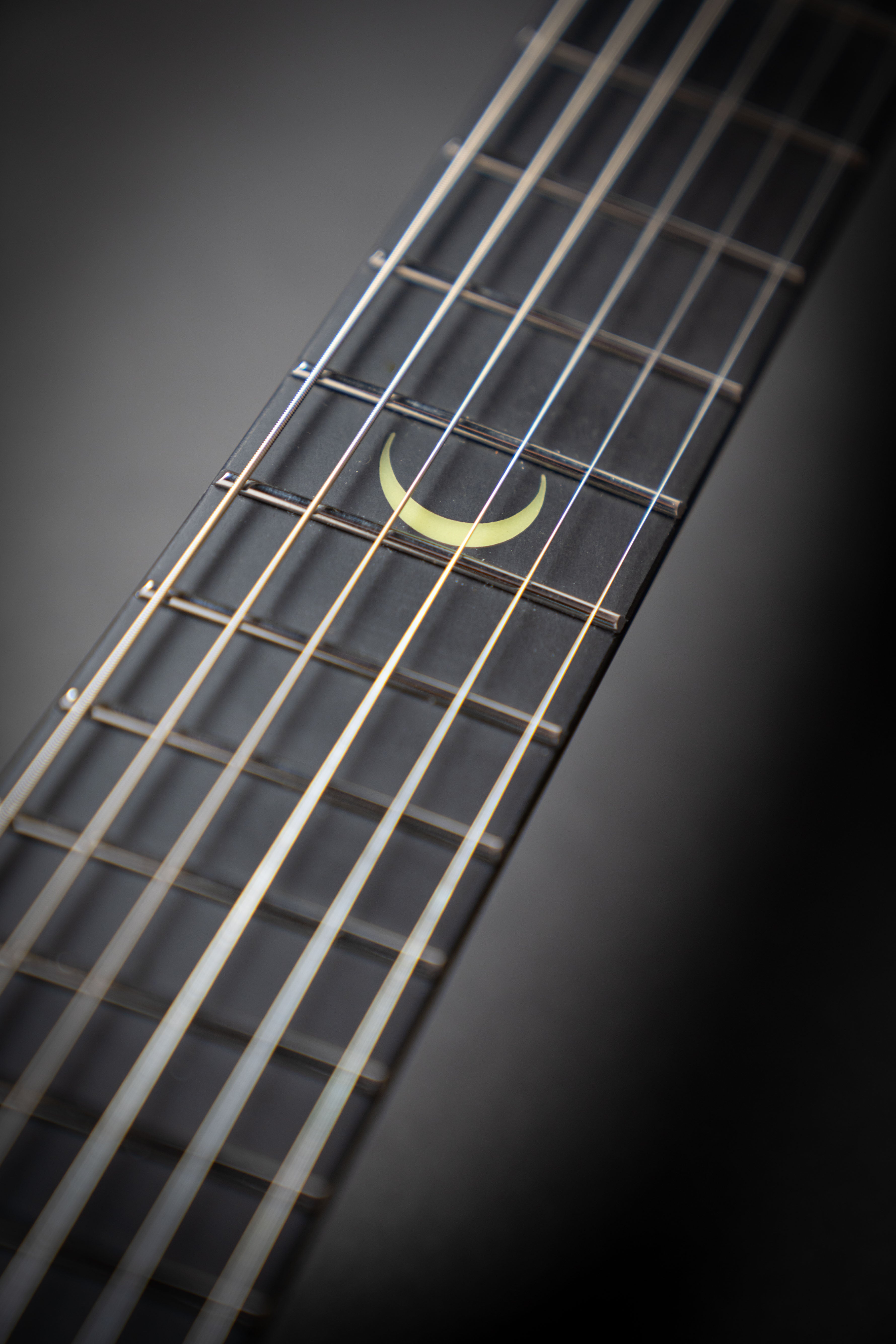 Strandberg Sälen NX 6 Tremolo Plini Edition Black (C2301403