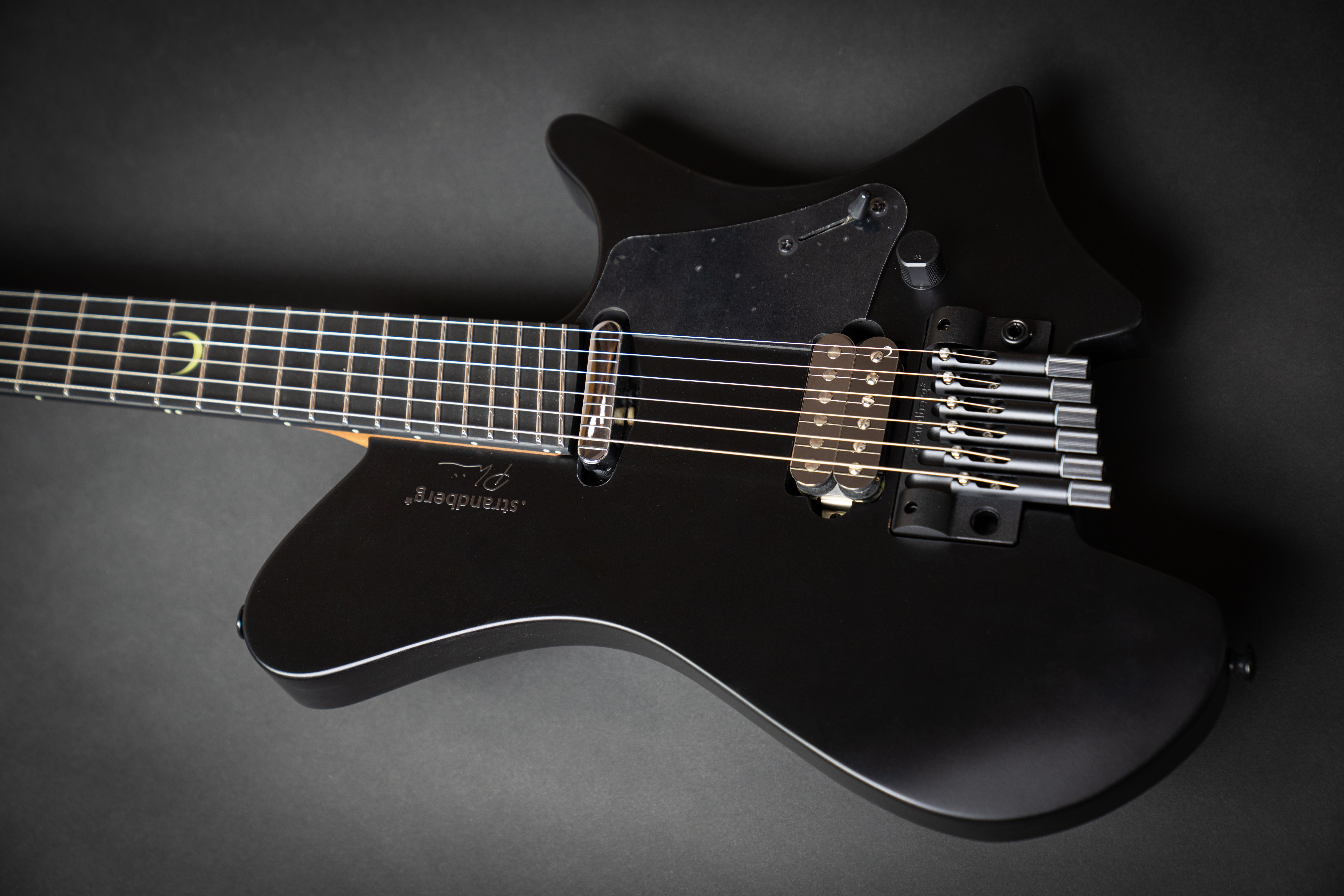 Strandberg Sälen NX 6 Tremolo Plini Edition Black (C2301403
