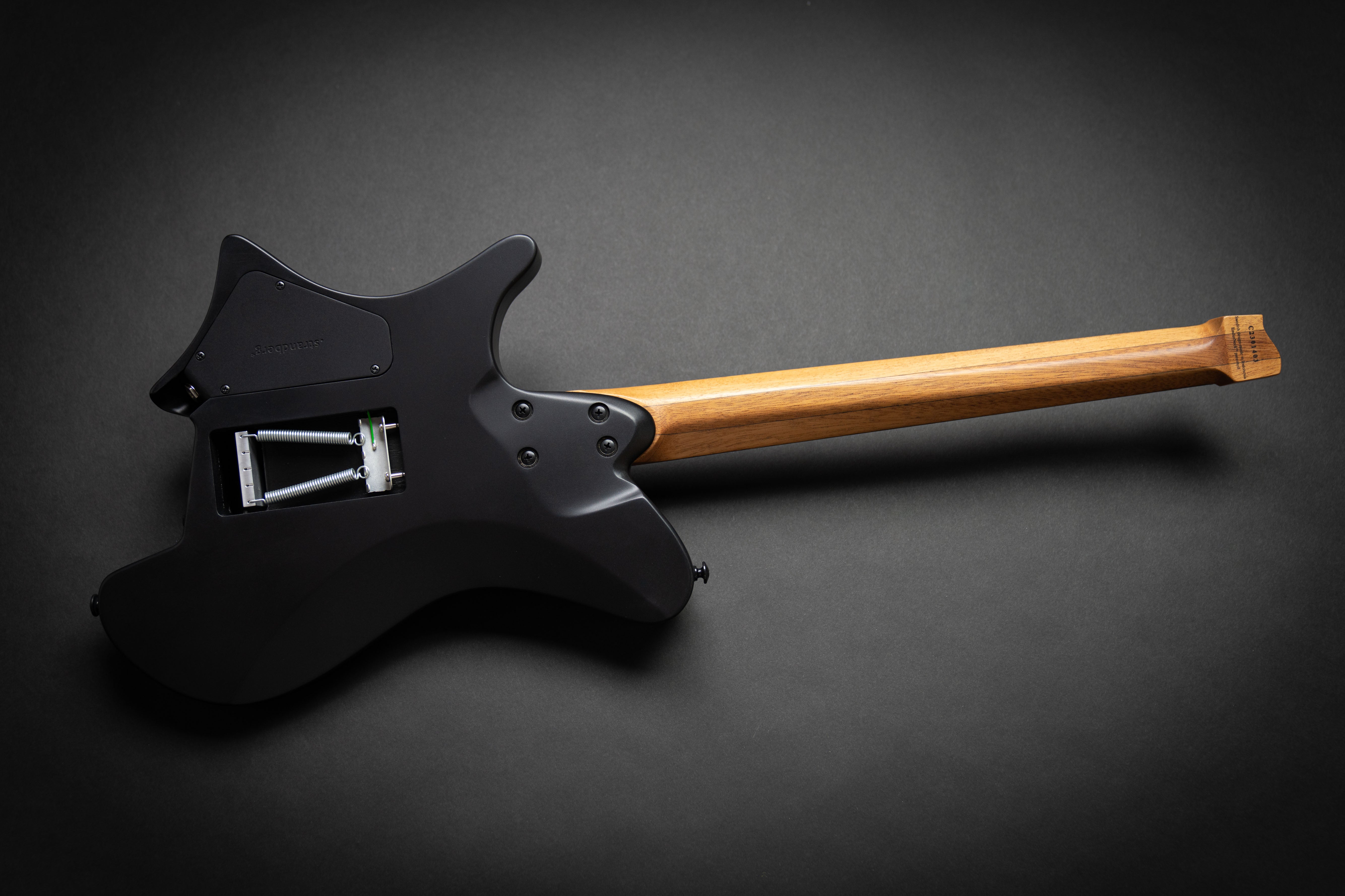 Strandberg Sälen NX 6 Tremolo Plini Edition Black (C2301403