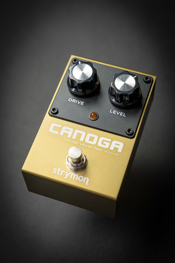 Canoga Vintage Silicon Fuzz