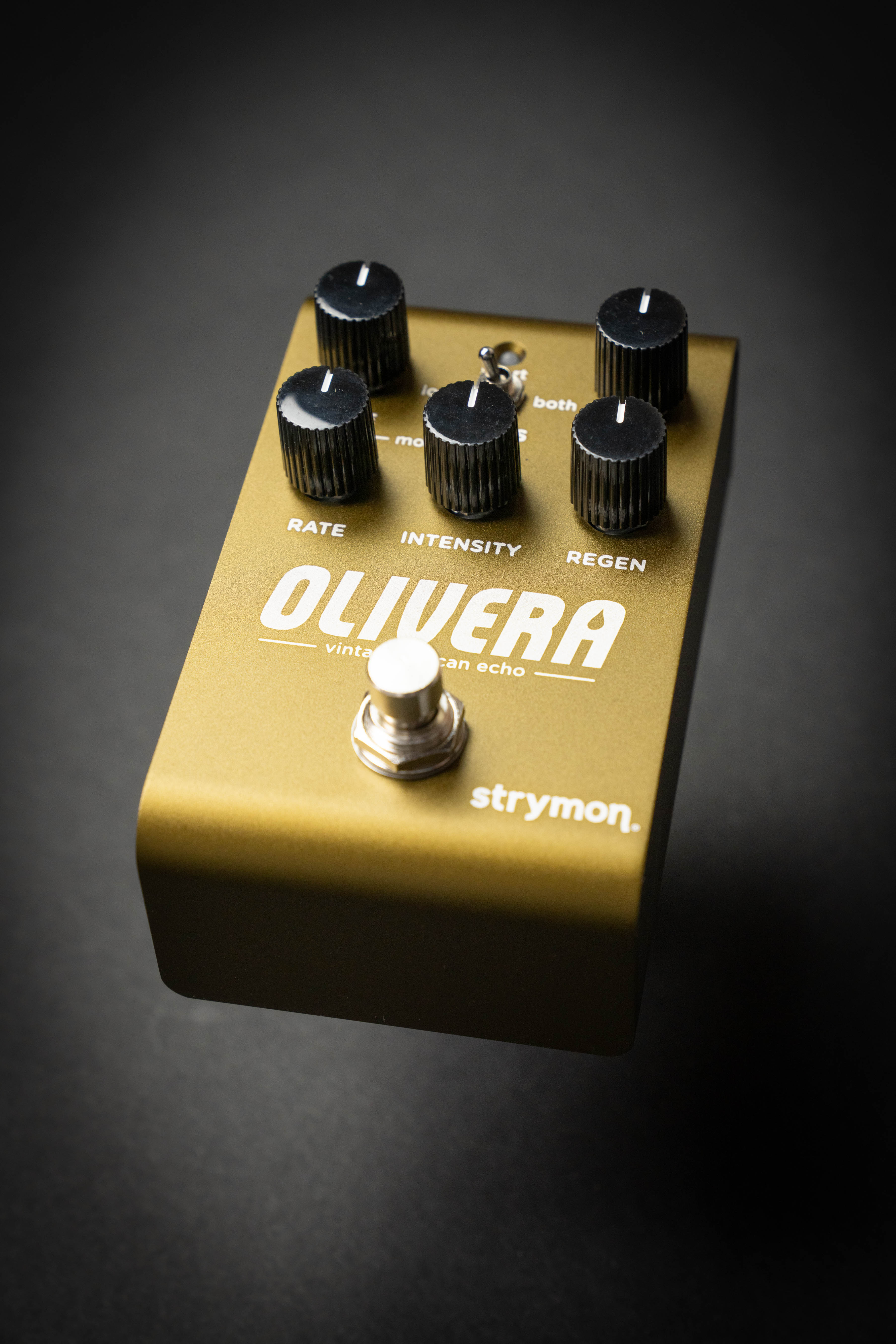 Strymon Olivera Vintage Oil Can Echo – Guitars Rebellion
