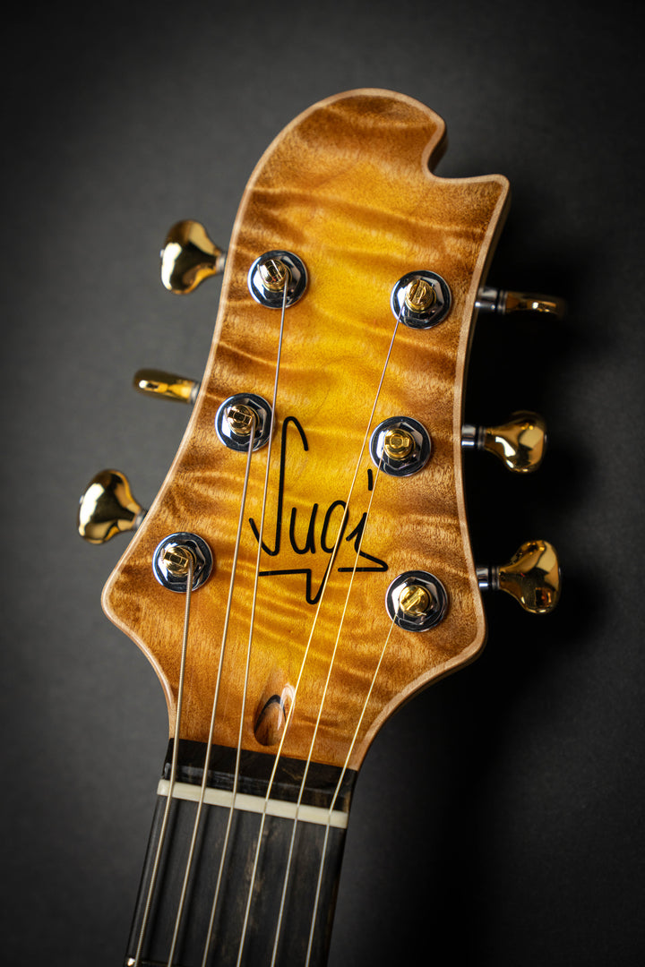 DS496E 6AQM Autumn Leaf Burst (S240011)