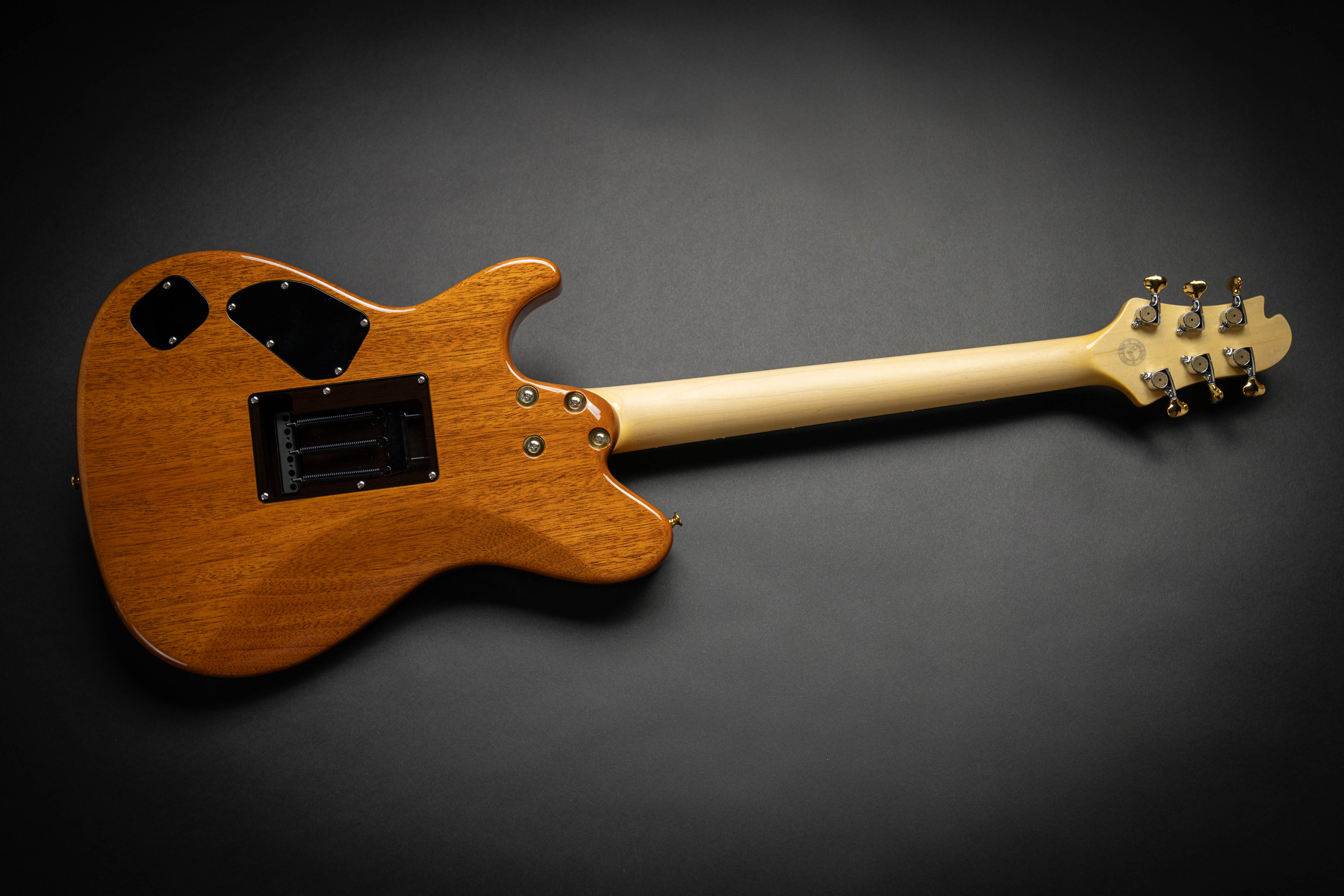 Sugi DS496E 6AQM Autumn Leaf Burst (S240011) – Guitars Rebellion