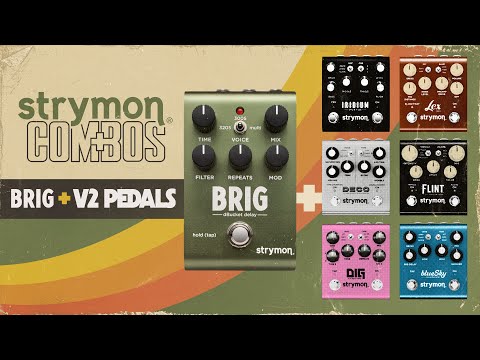 Strymon BRIG dBucket Delay – Guitars Rebellion