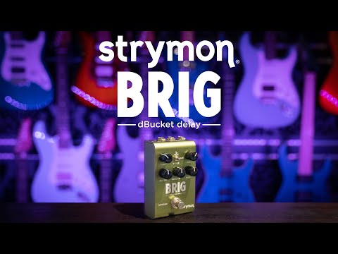 Strymon BRIG dBucket Delay – Guitars Rebellion