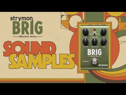 Strymon BRIG dBucket Delay – Guitars Rebellion
