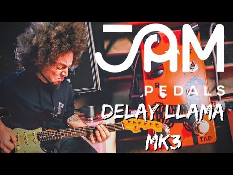 Delay Llama mk3