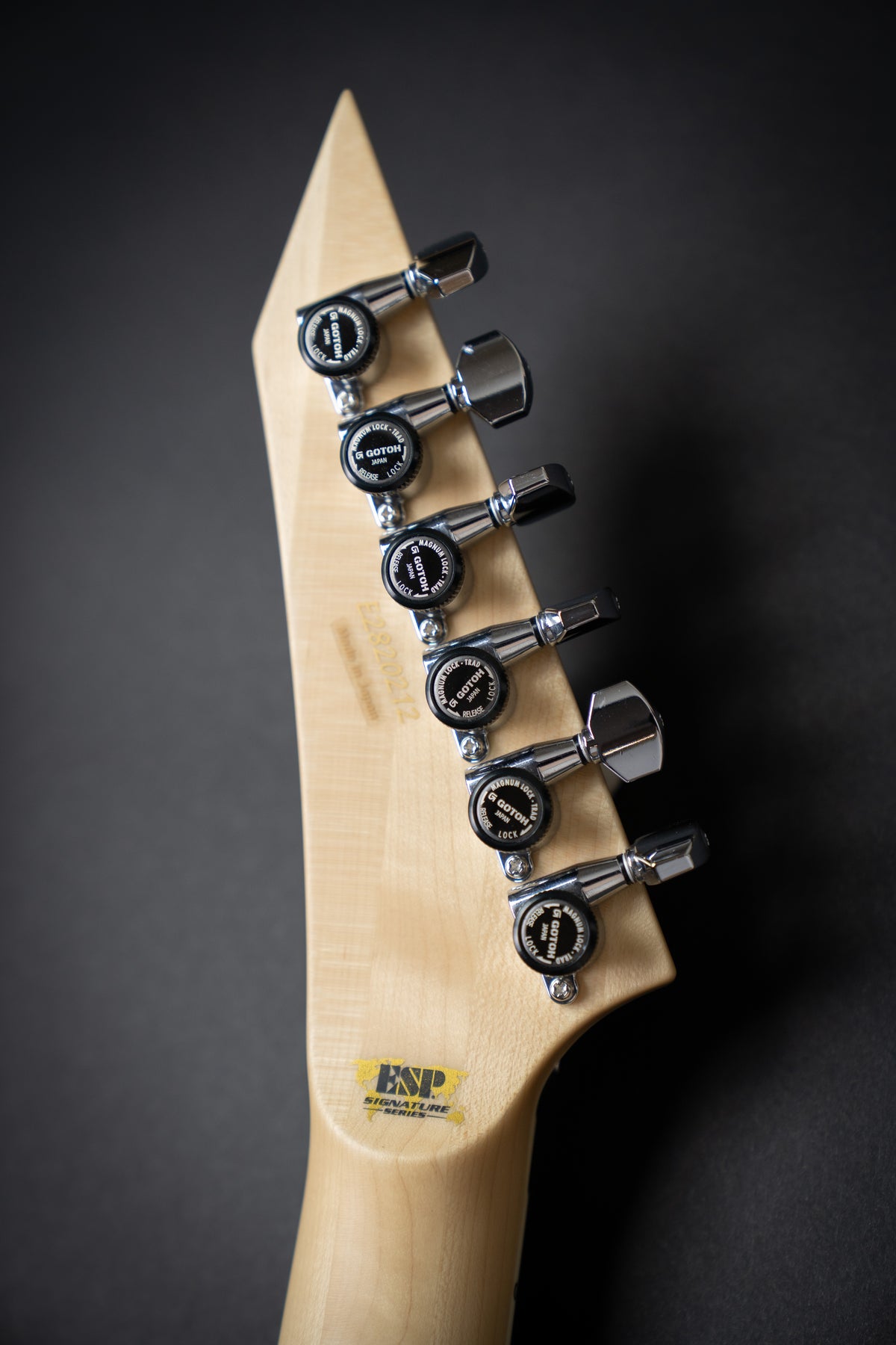 ESP Custom Shop Alexi Ripped (E2820212) – Guitars Rebellion