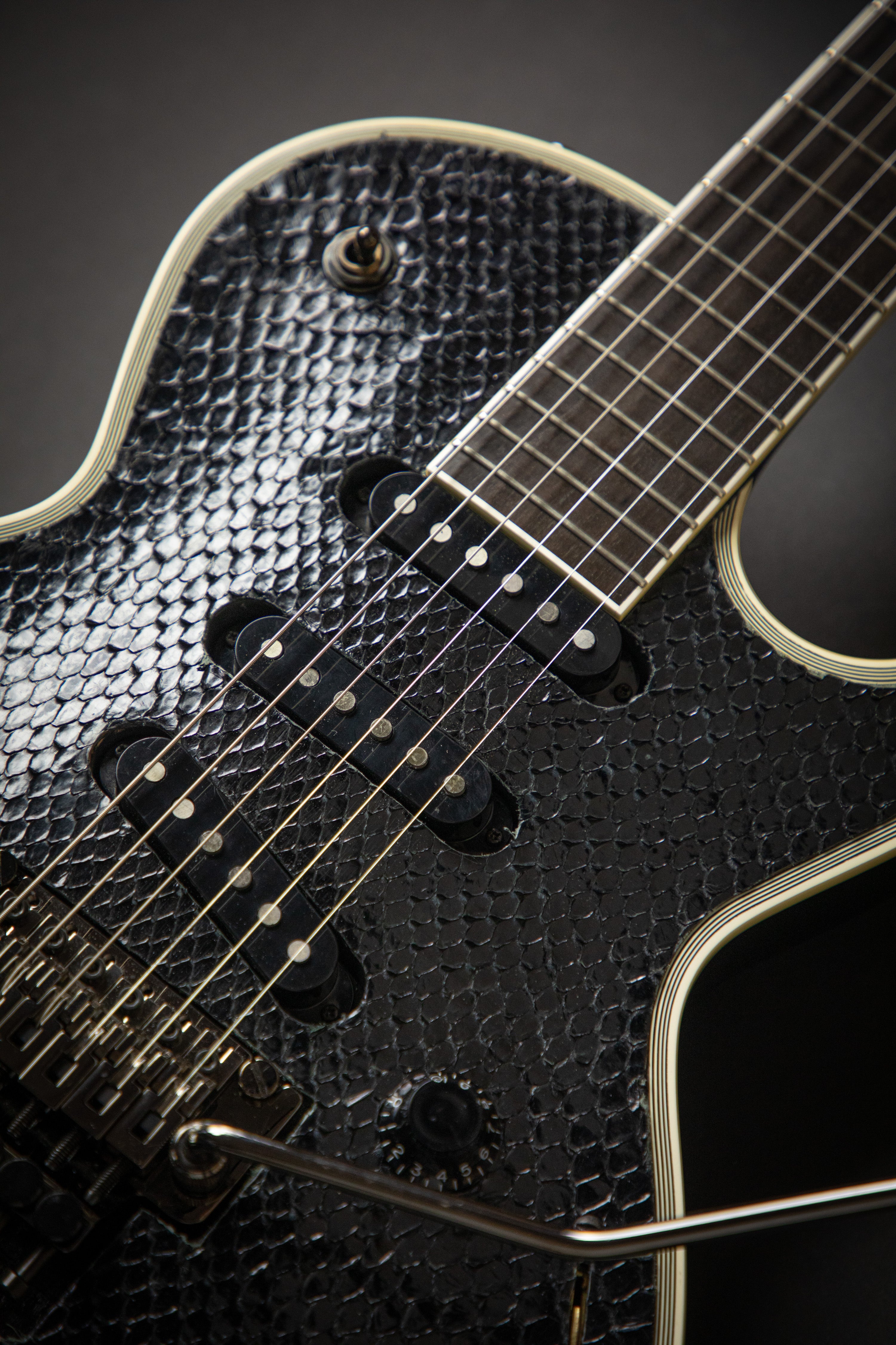ESP Custom Shop Eclipse SI Python – Guitars Rebellion