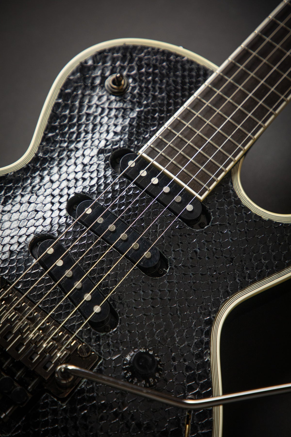 ESP Custom Shop Eclipse SI Python – Guitars Rebellion