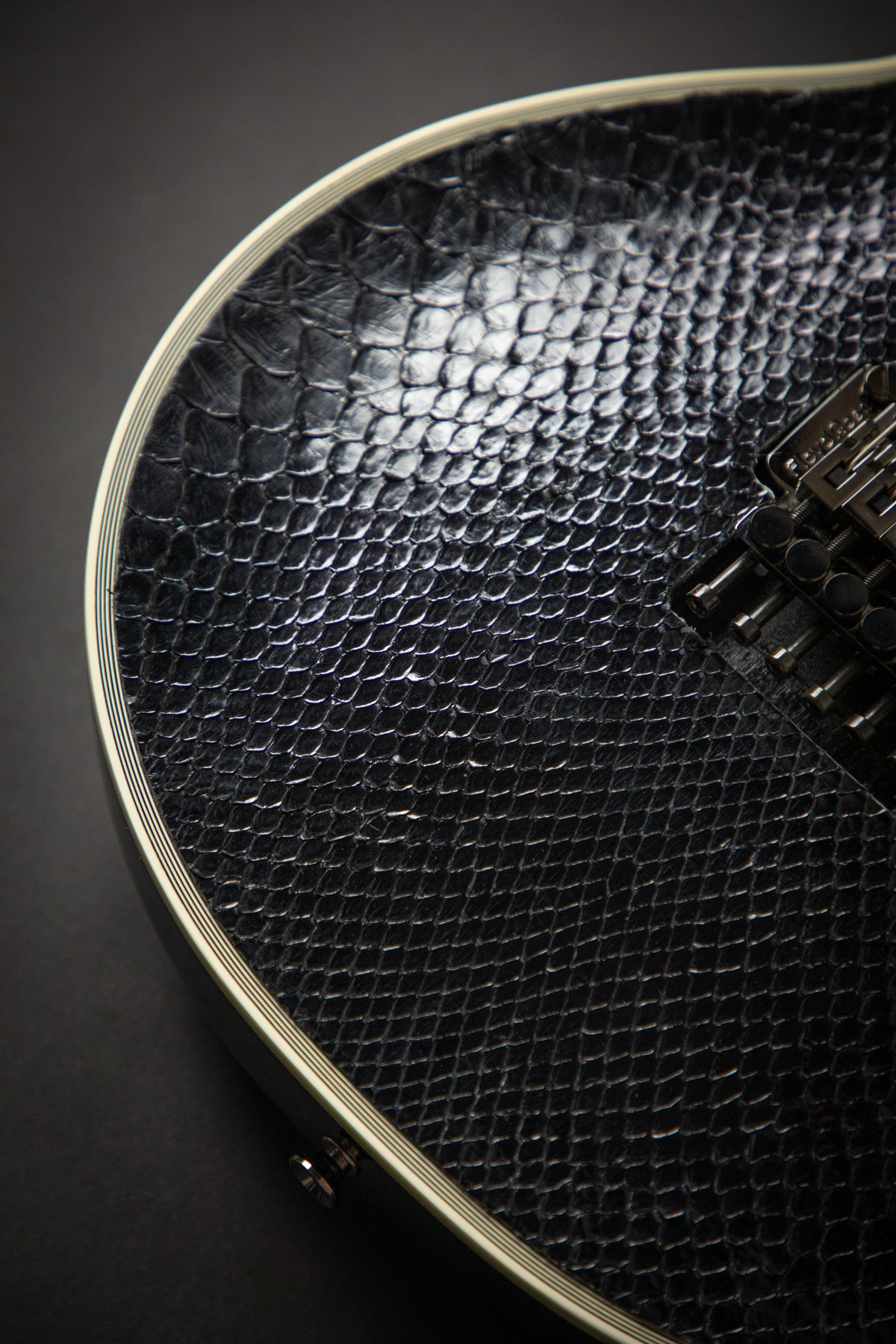 ESP Custom Shop Eclipse S-I Python – Guitars Rebellion